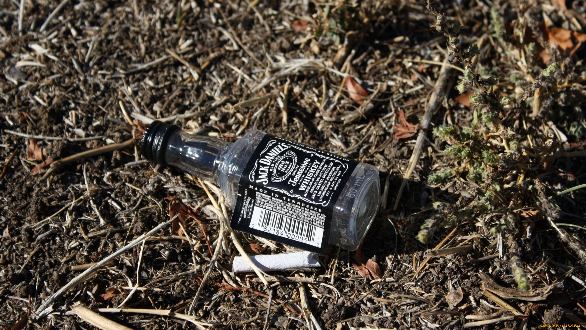 бренды, jack, daniel`s, виски