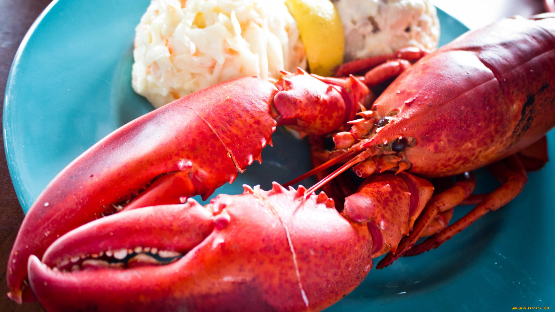 еда, рыба, , морепродукты, , суши, , роллы, лобстер