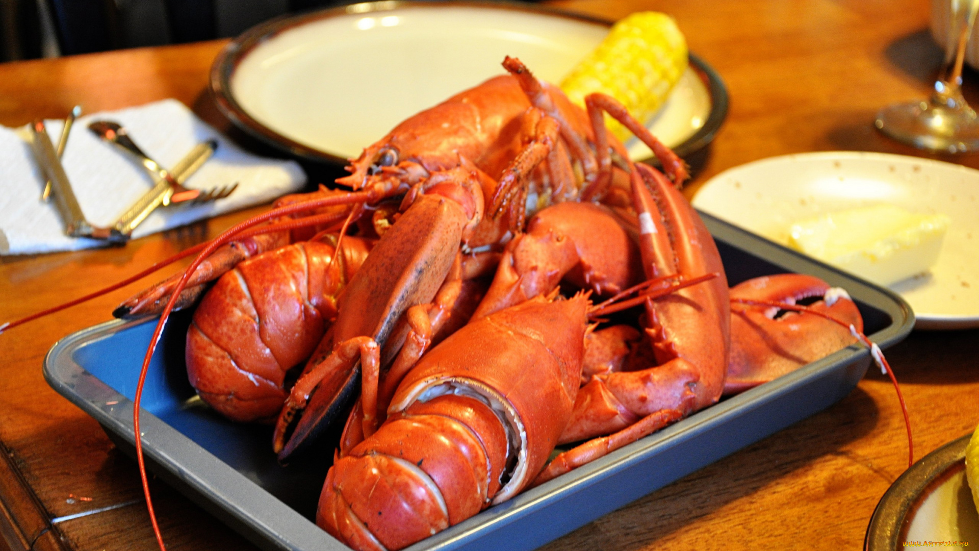 еда, рыба, , морепродукты, , суши, , роллы, лобстер