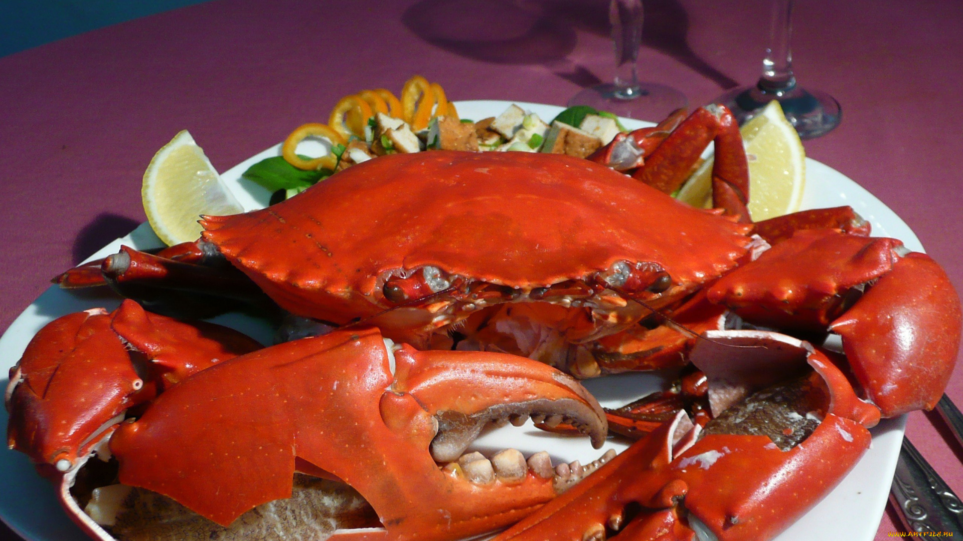 еда, рыба, , морепродукты, , суши, , роллы, лобстер