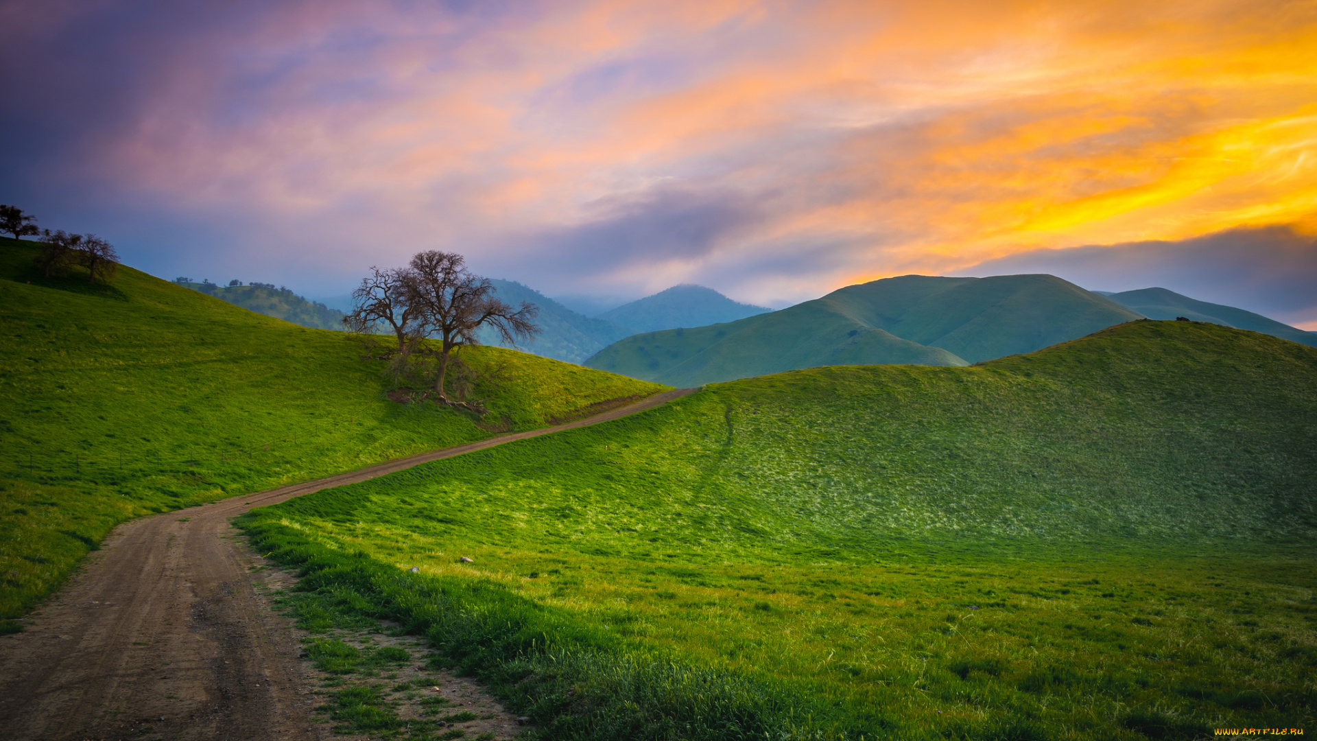 природа, дороги, простор