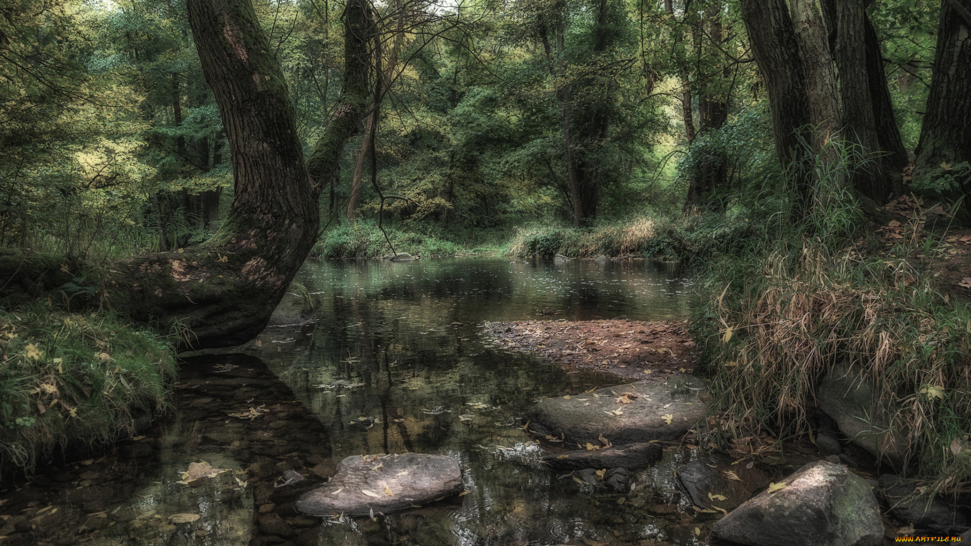 природа, реки, озера, простор