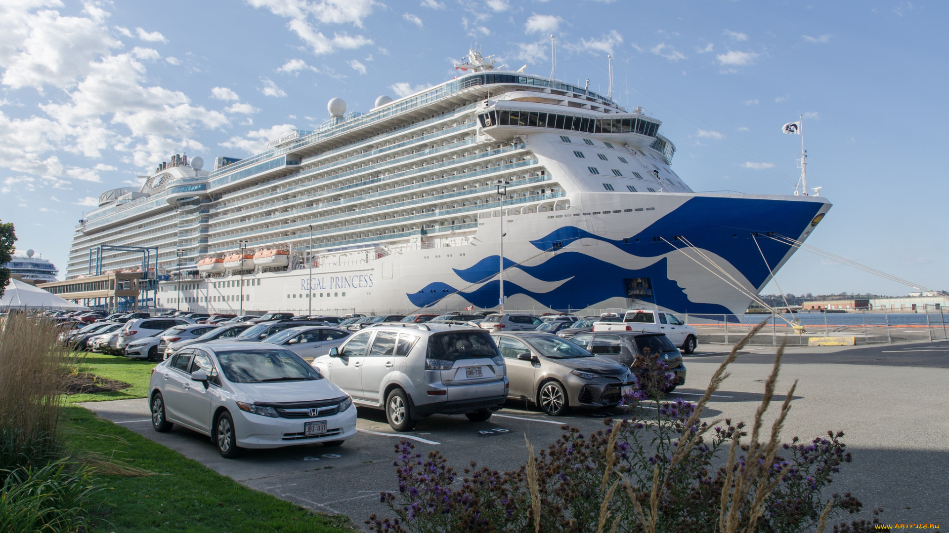 regal, princess, корабли, лайнеры, лайнер, круиз