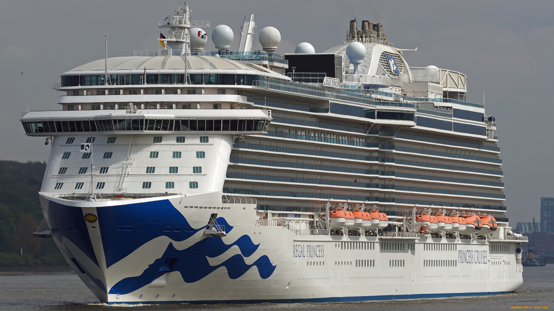 regal, princess, корабли, лайнеры, лайнер, круиз