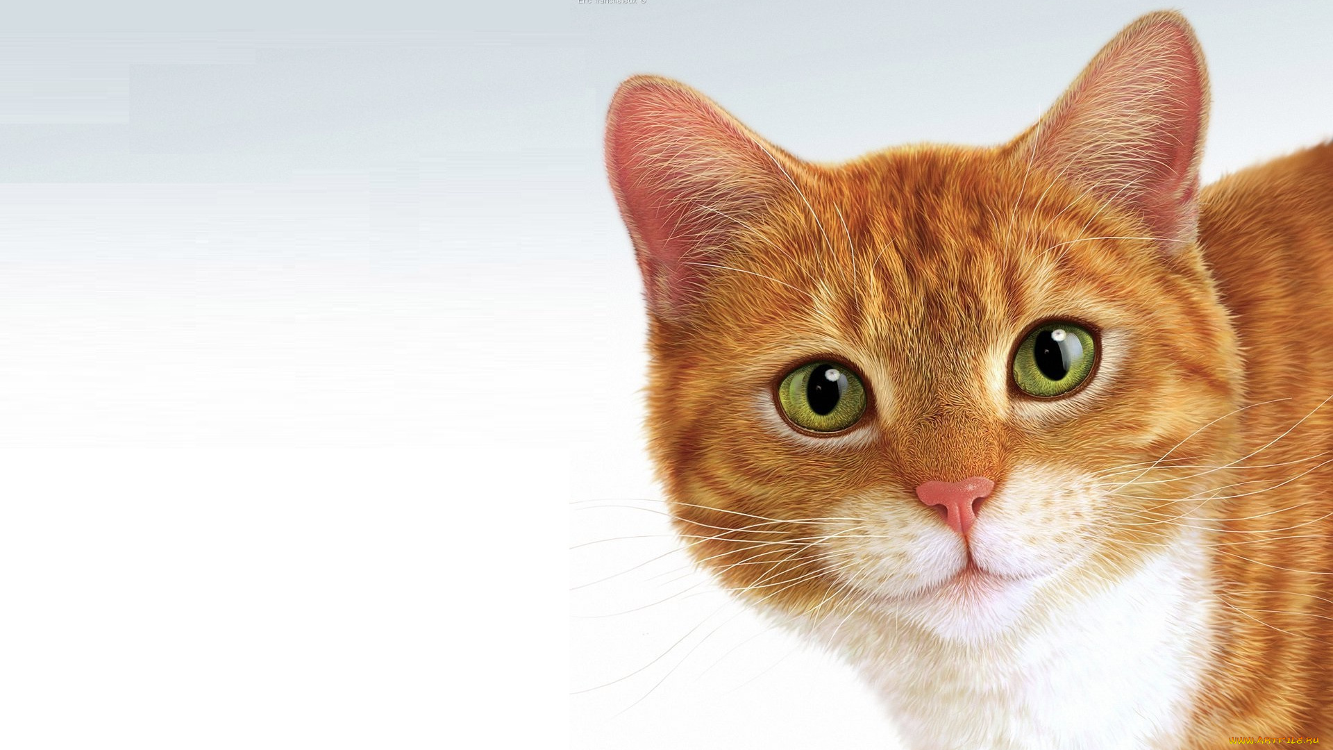 рисованное, животные, , коты, кот, минимализм