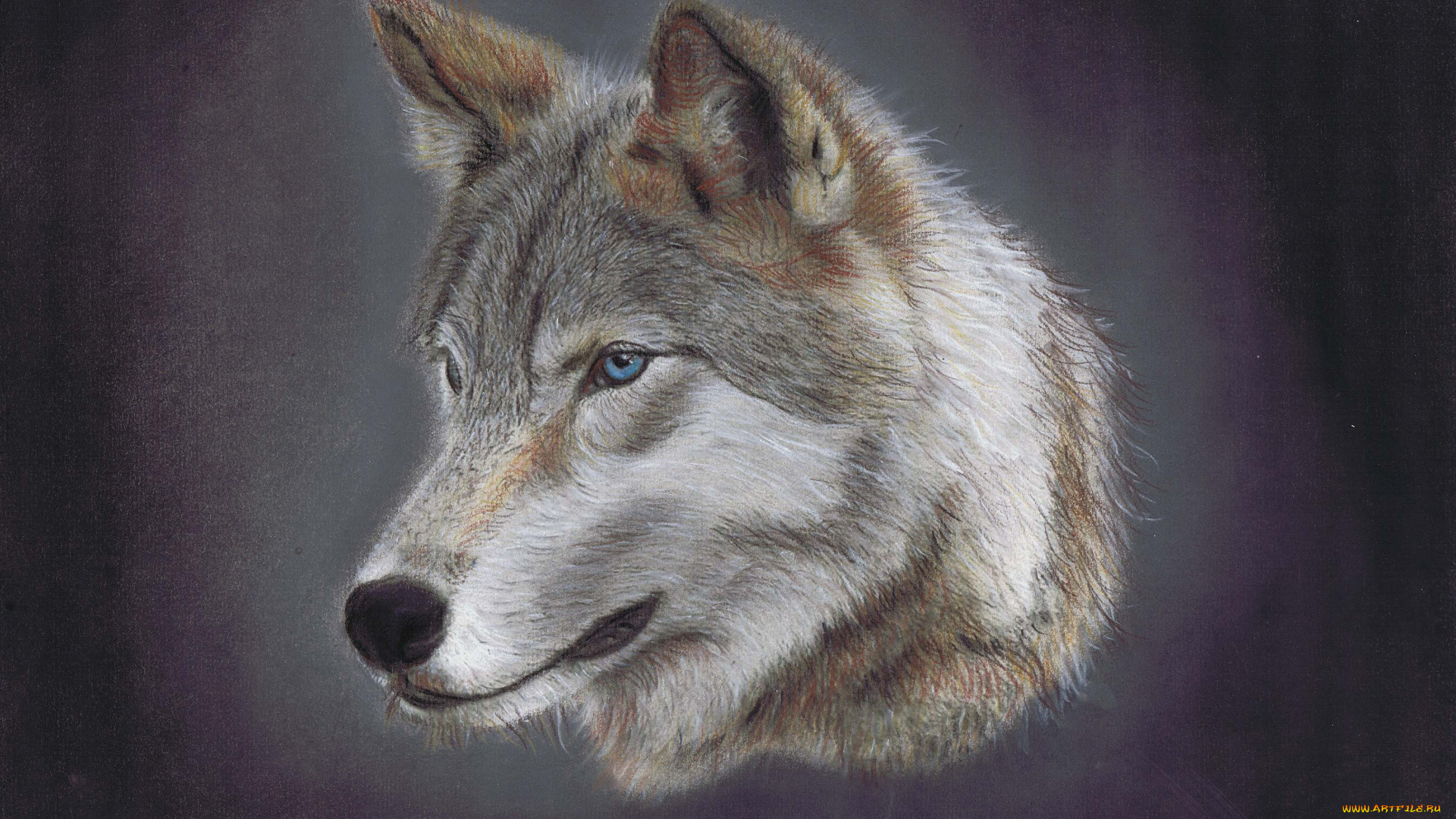 рисованное, животные, , волки, фон, волк