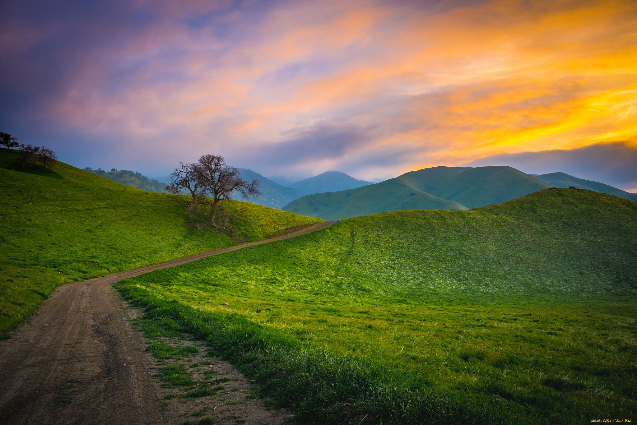 природа, дороги, простор