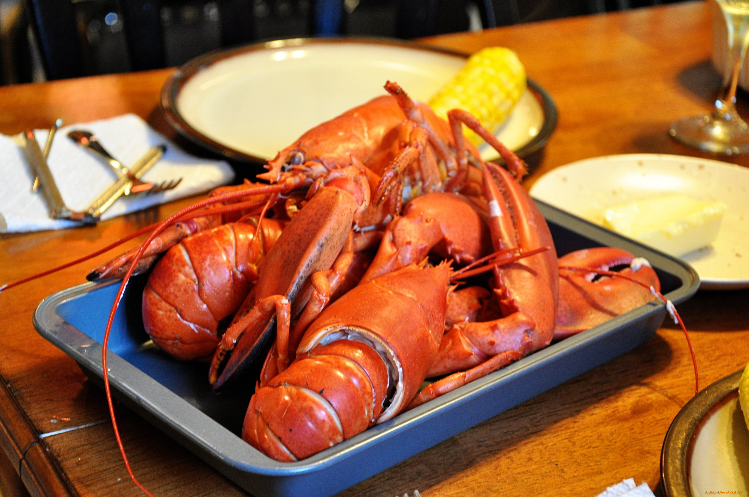 еда, рыба, , морепродукты, , суши, , роллы, лобстер