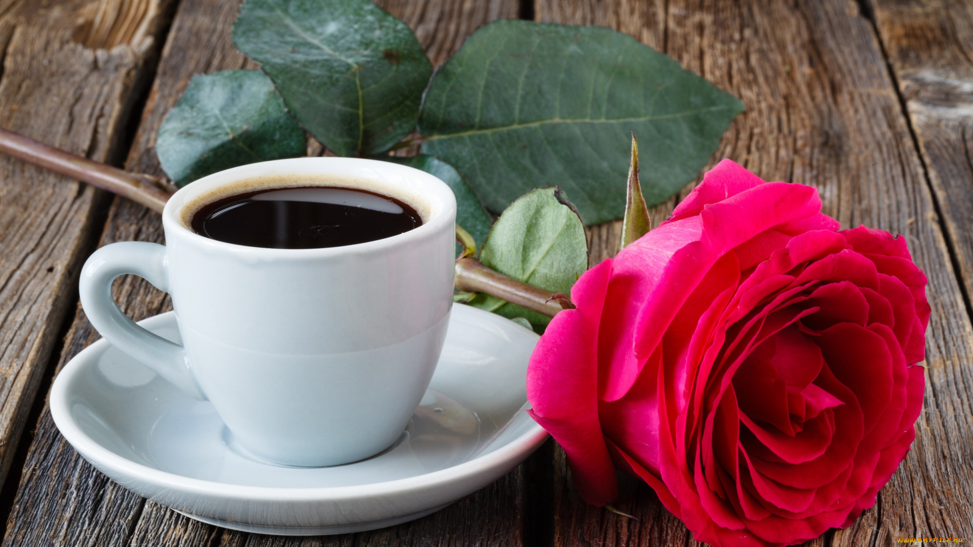 еда, кофе, , кофейные, зёрна, цветок, роза