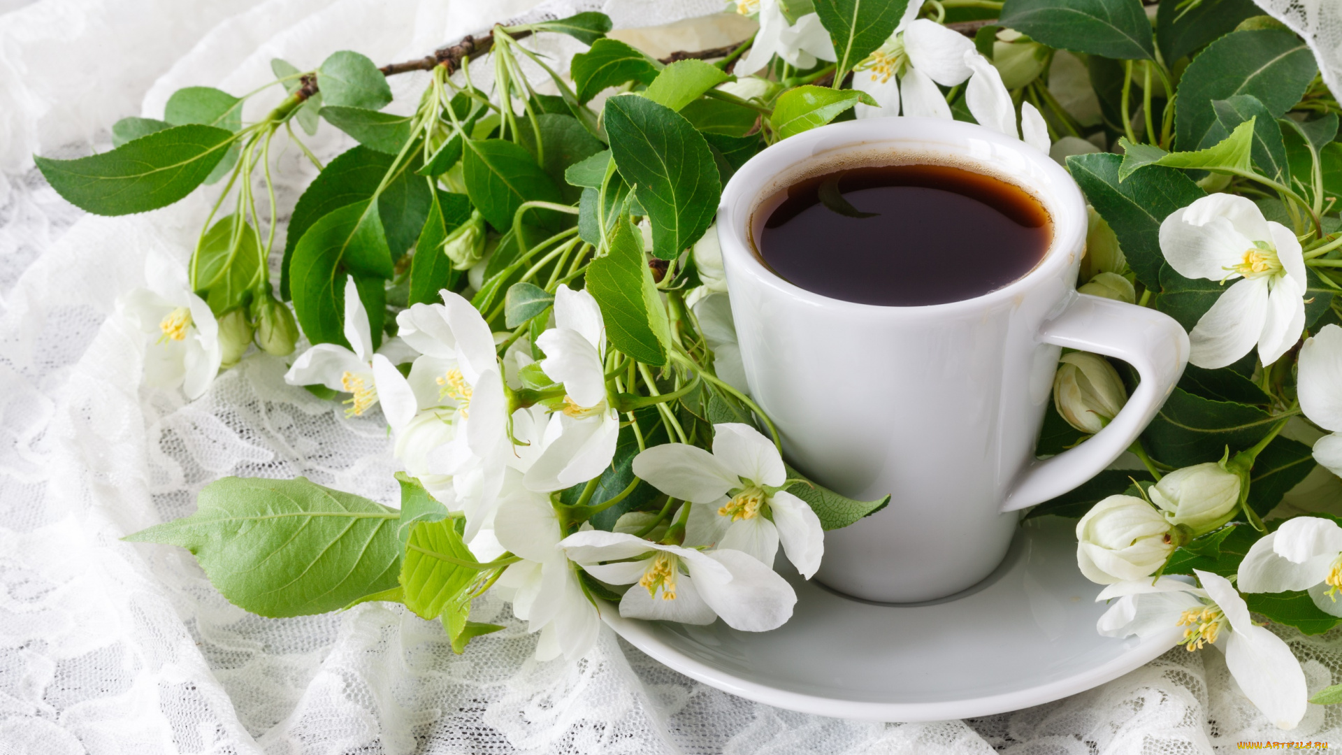 еда, кофе, , кофейные, зёрна, цветы, ветки