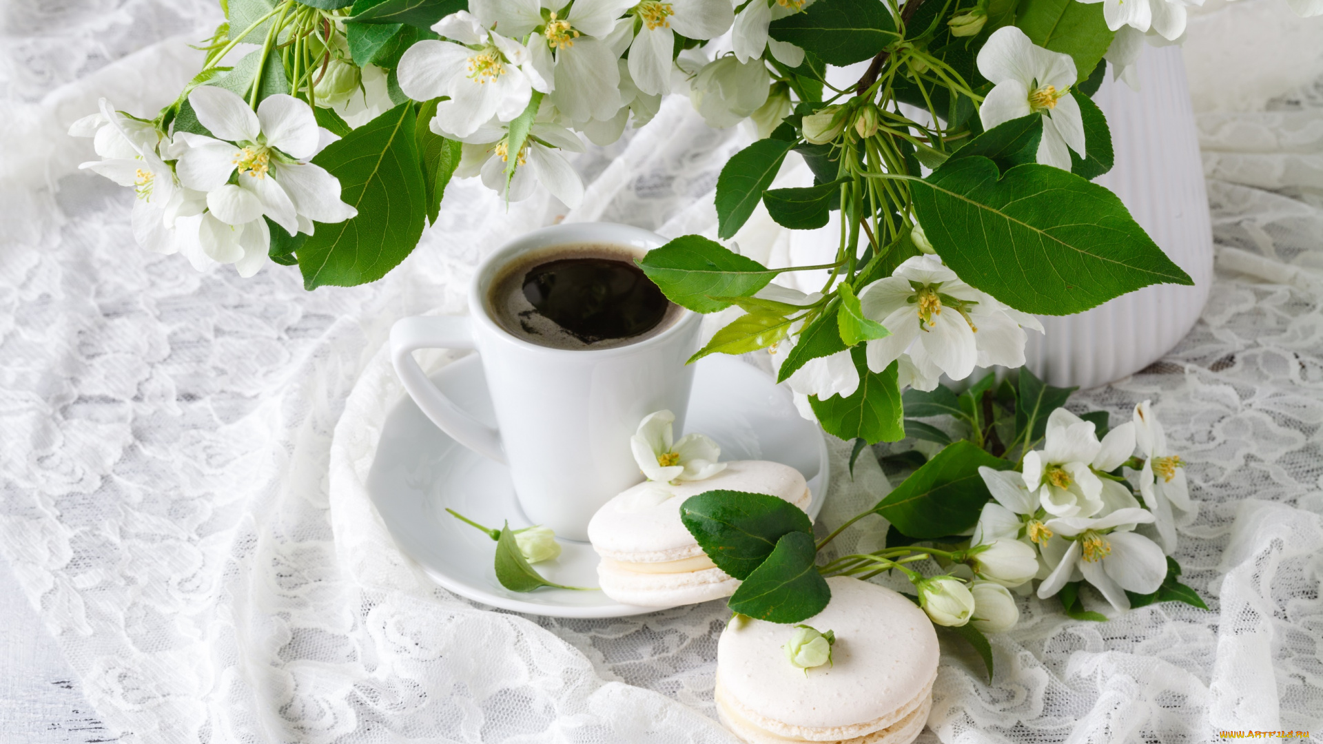 еда, макаруны, листья, цветы, кофе, весна, ткань