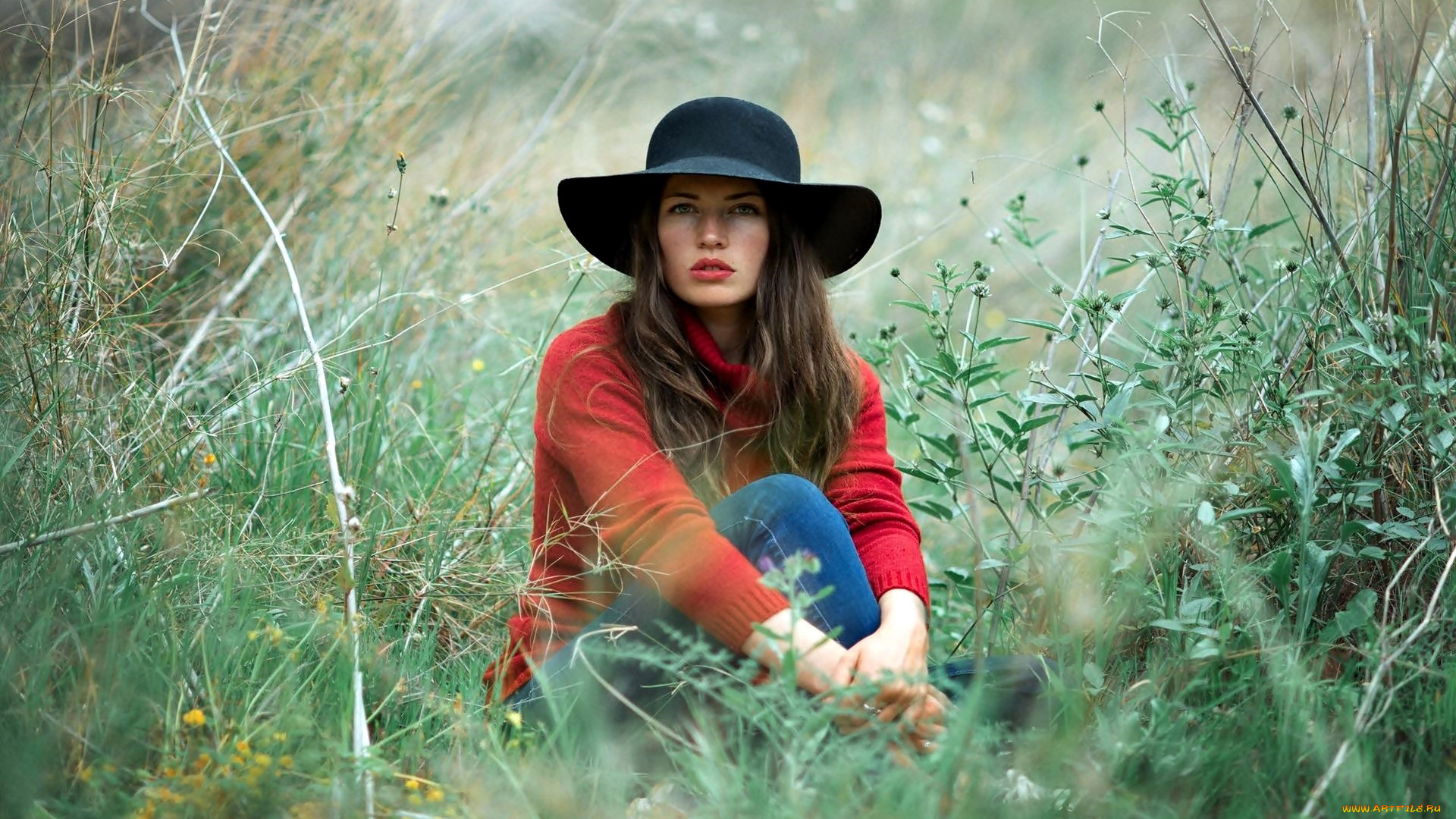 девушки, -, брюнетки, , шатенки, трава, шатенка, шляпа