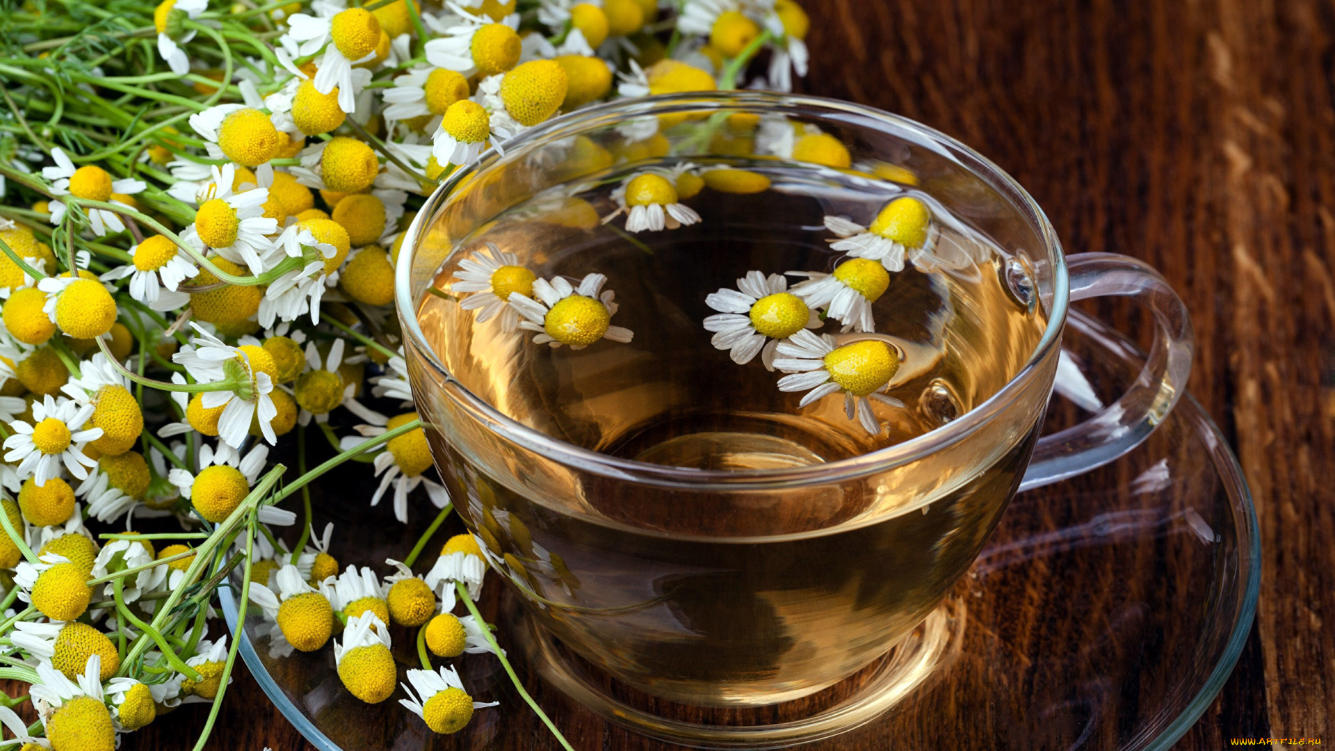еда, напитки, , чай, ромашковый, чай, цветы