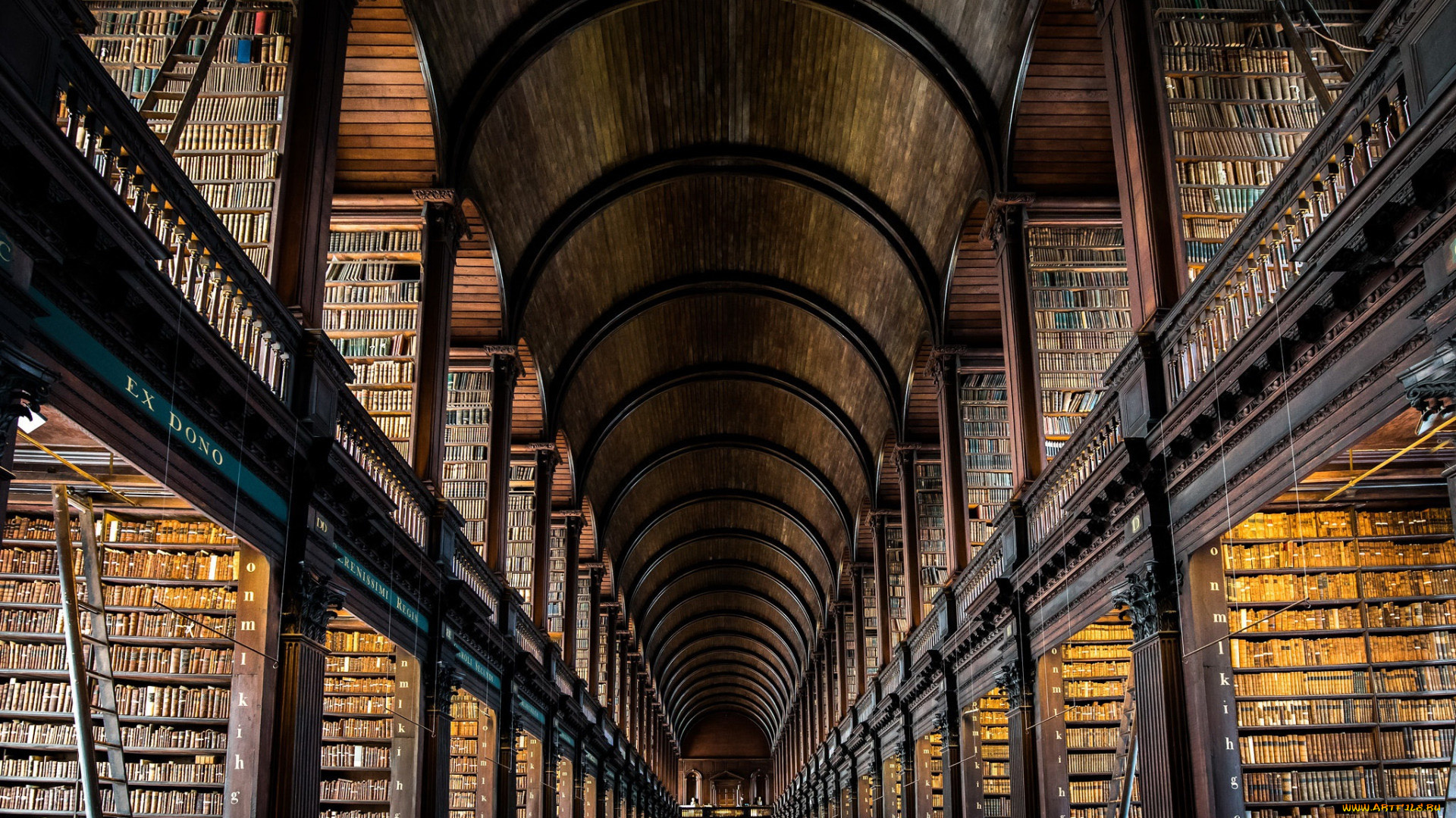 trinity, college, dublin, , irland, интерьер, кабинет, , библиотека, , офис, trinity, college, irland