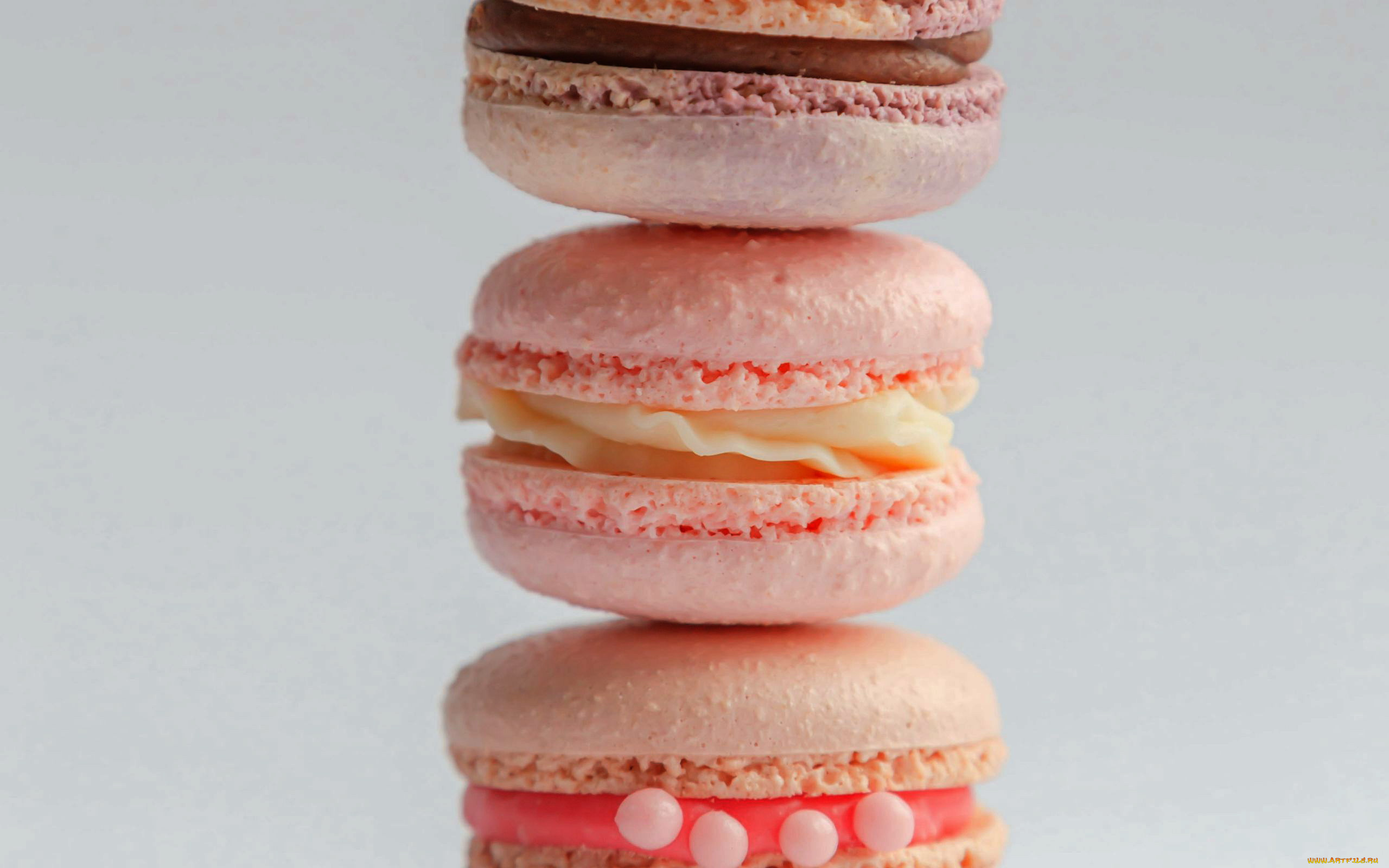 еда, макаруны, лакомство, печенье