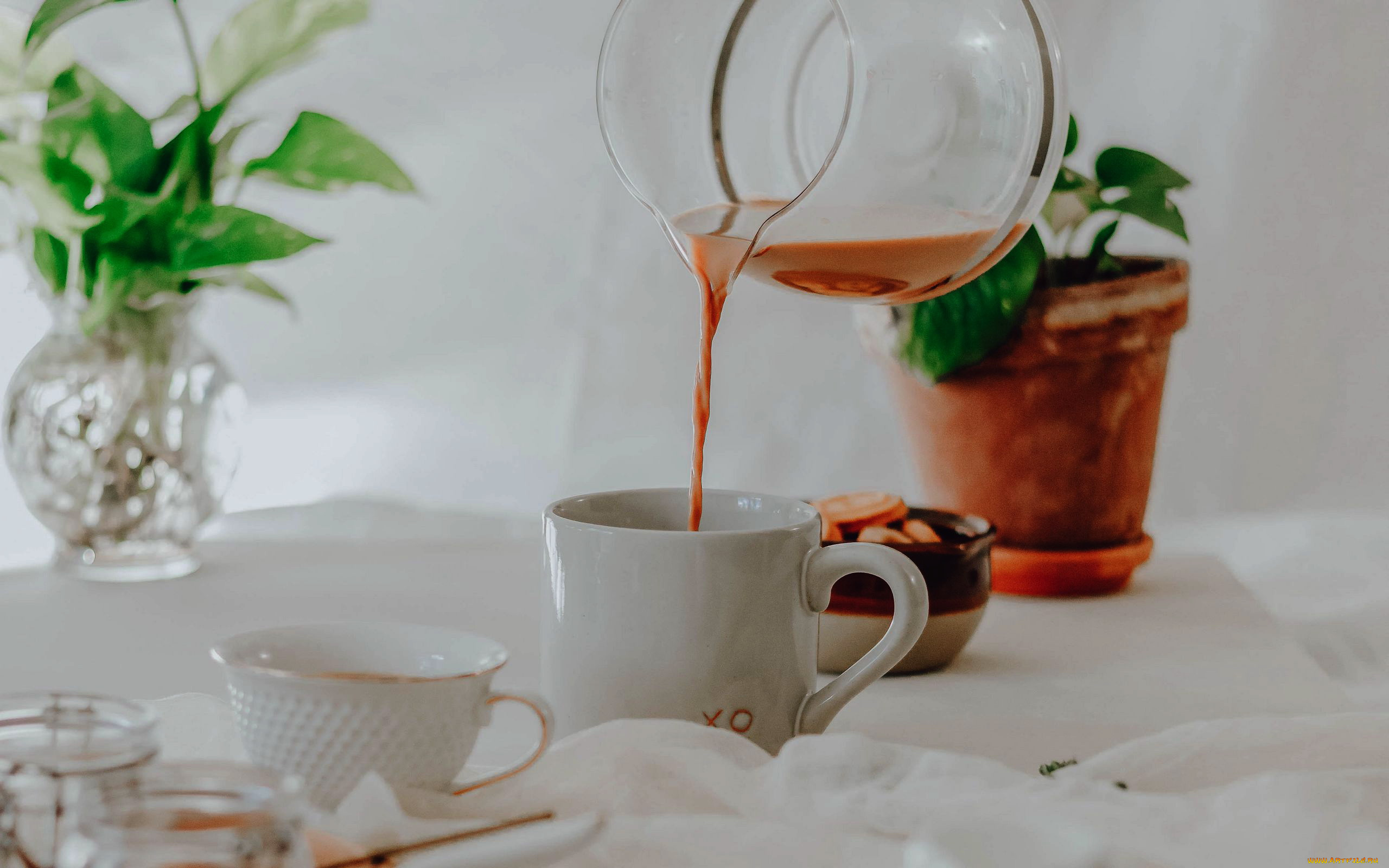 еда, напитки, , чай, печенье, чай, чайник