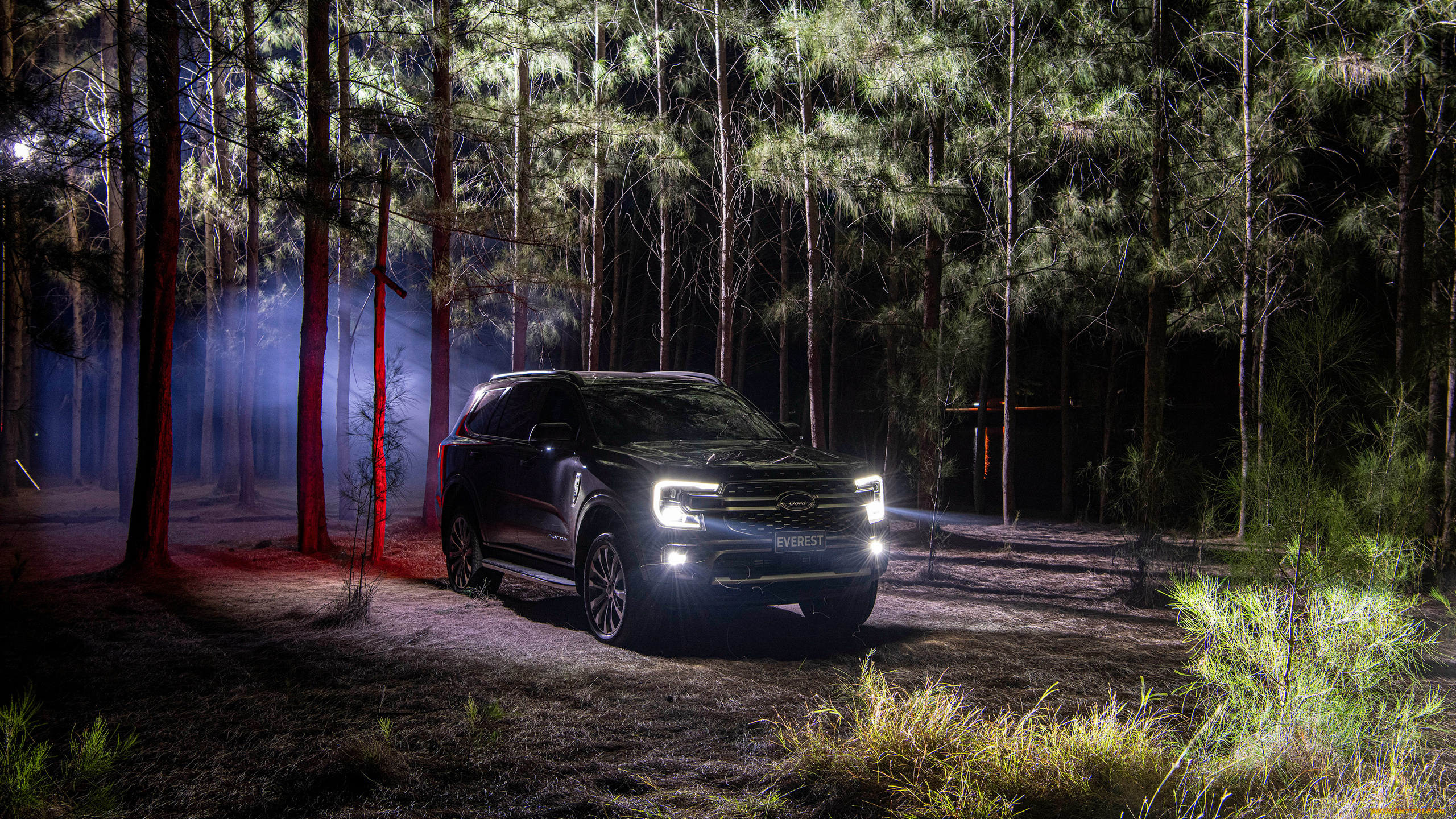 ford, everest, platinum, 2022, автомобили, ford, everest, platinum, 2022, внедорожник, джип, форд, лес