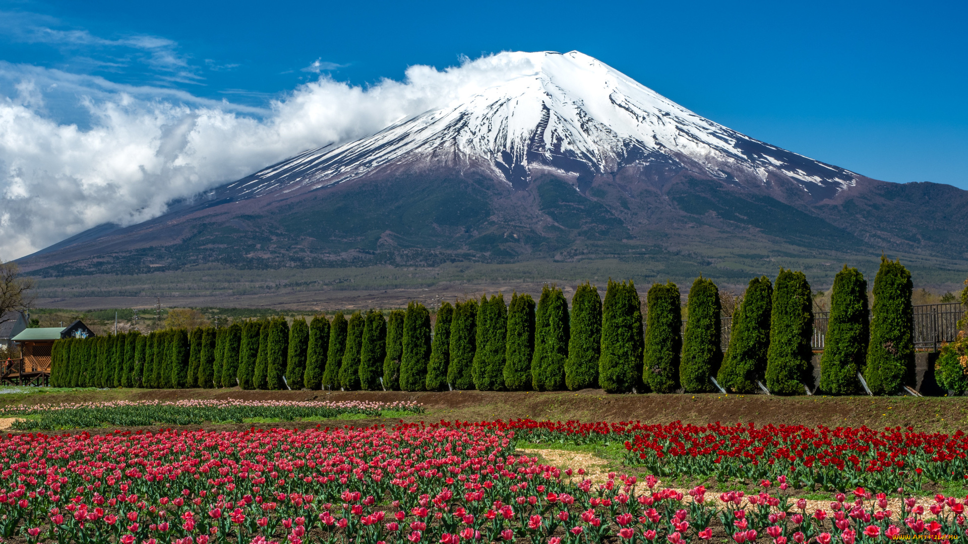 природа, горы, пейзаж