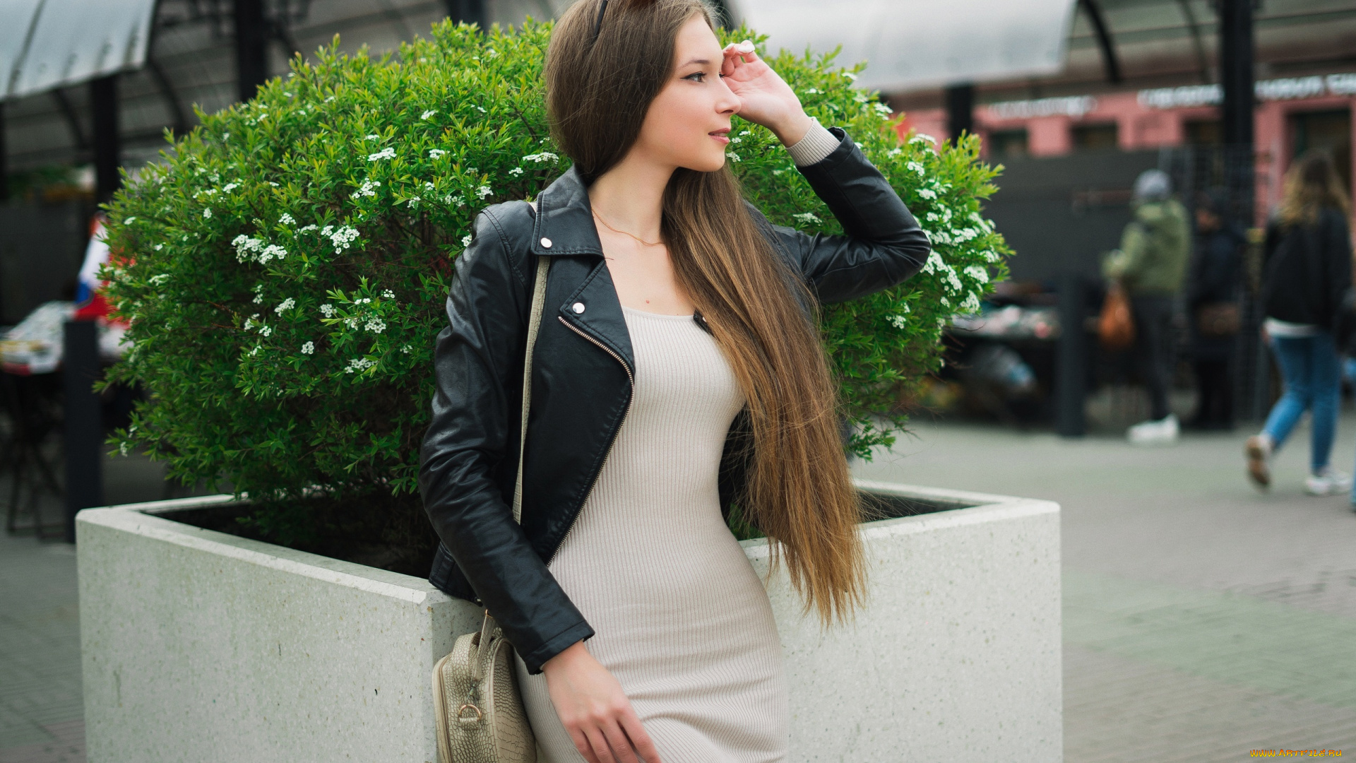 девушки, -, брюнетки, , шатенки, девушка, позирует, роберт, зазин