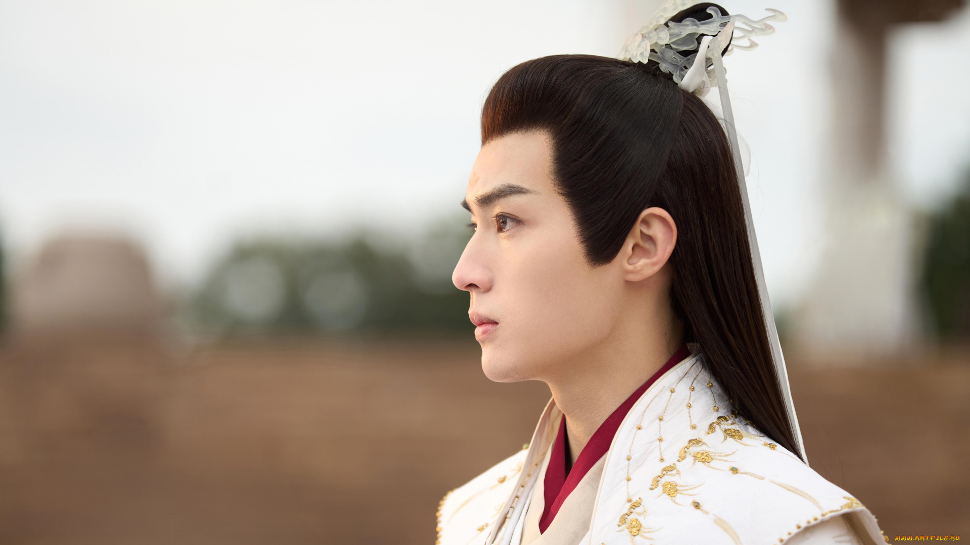 кино, фильмы, love, of, petals, love, of, petals