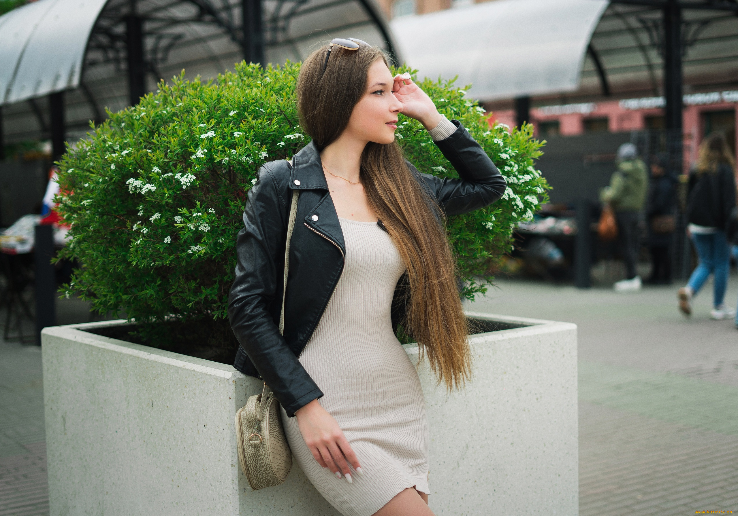 девушки, -, брюнетки, , шатенки, девушка, позирует, роберт, зазин