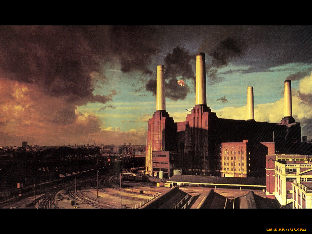 pink, floyd, animals, музыка