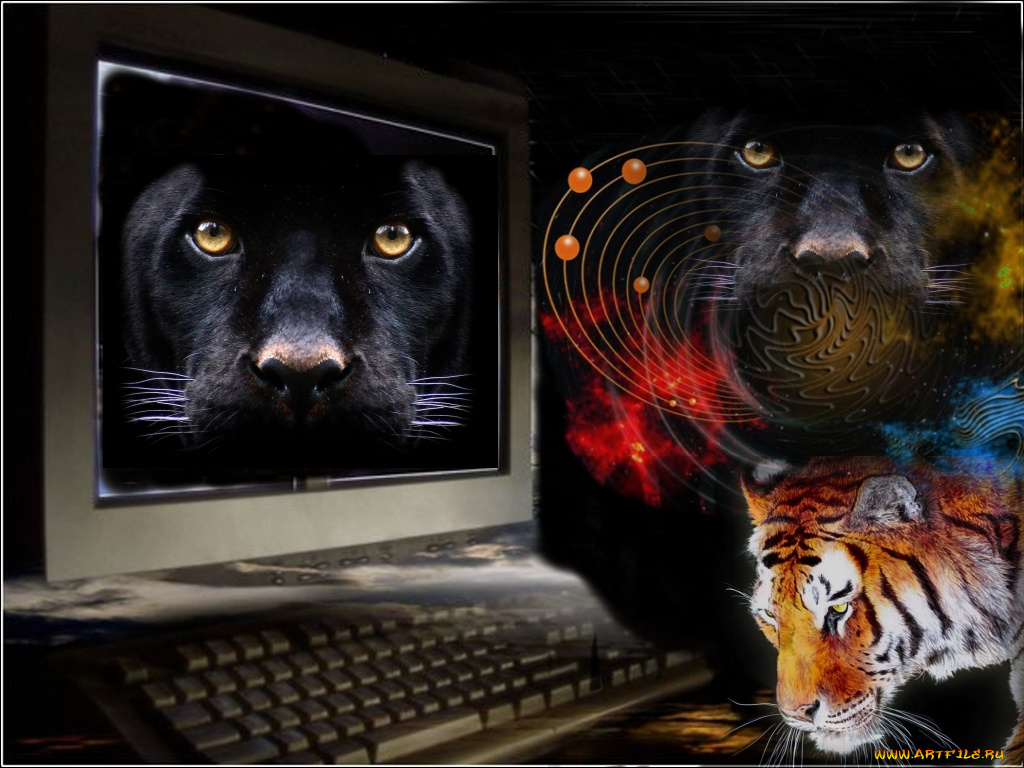 берегите, животных, разное