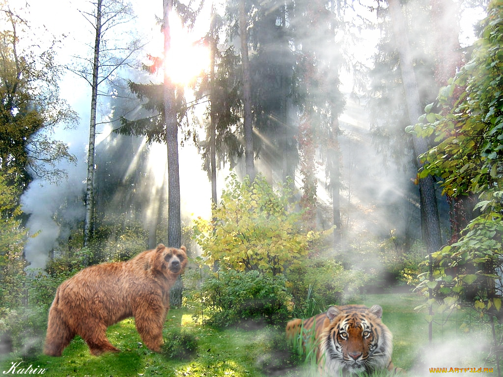 мы, друзья, вы, разное