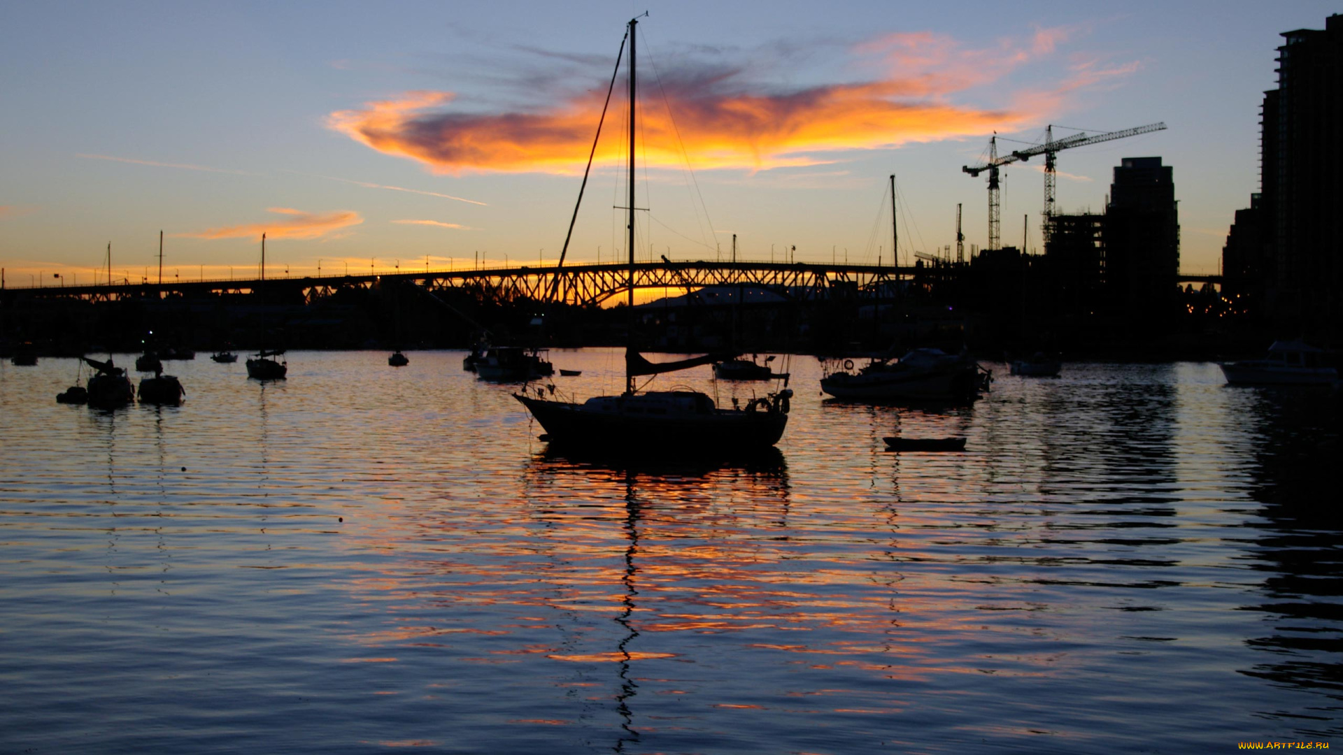 корабли, разные, вместе