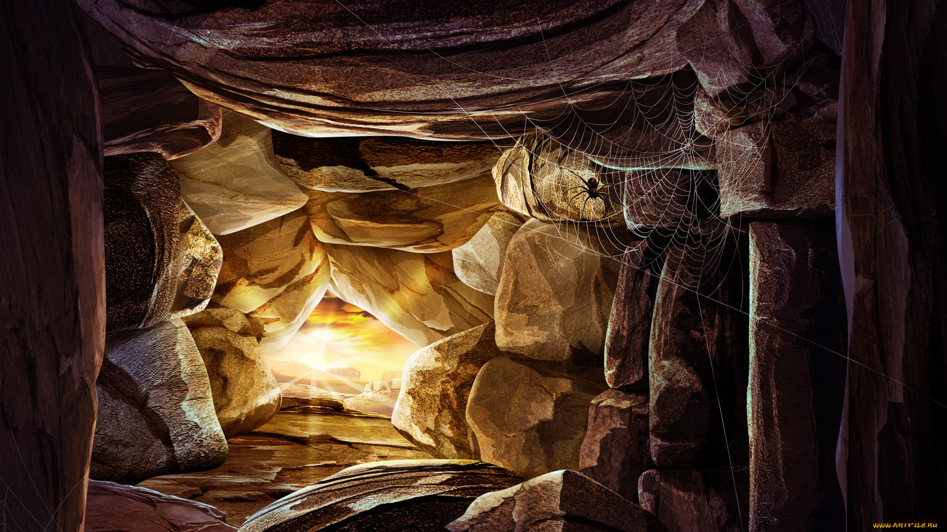 рисованные, животные, насекомые