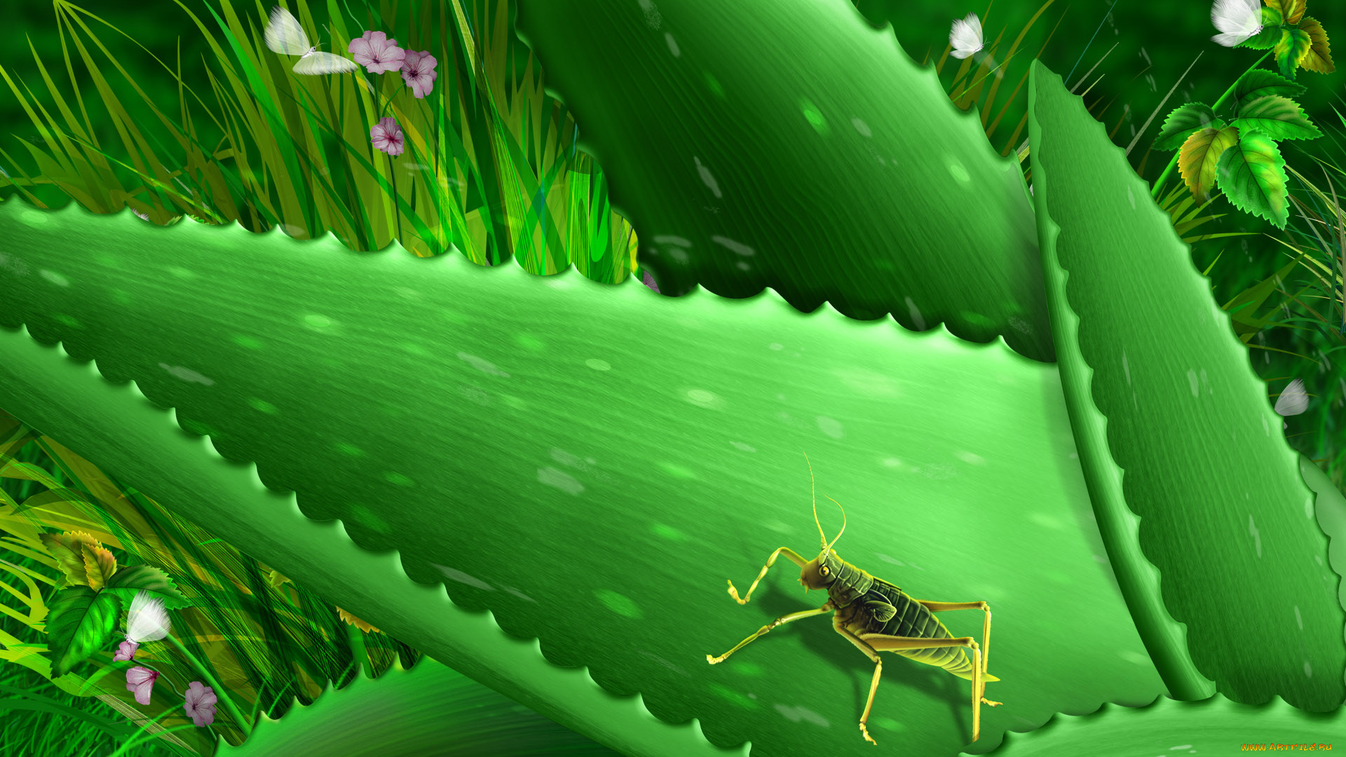 рисованные, животные, насекомые