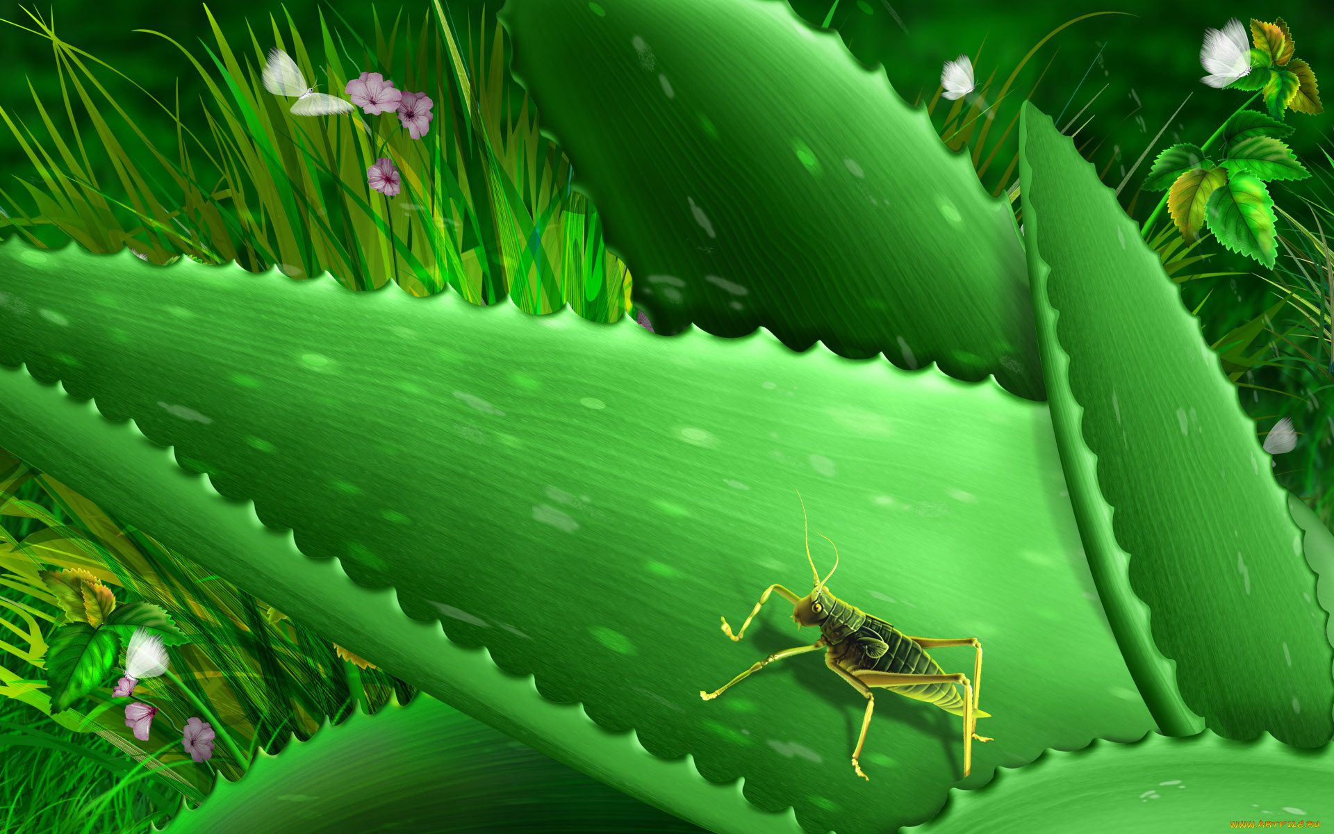 рисованные, животные, насекомые