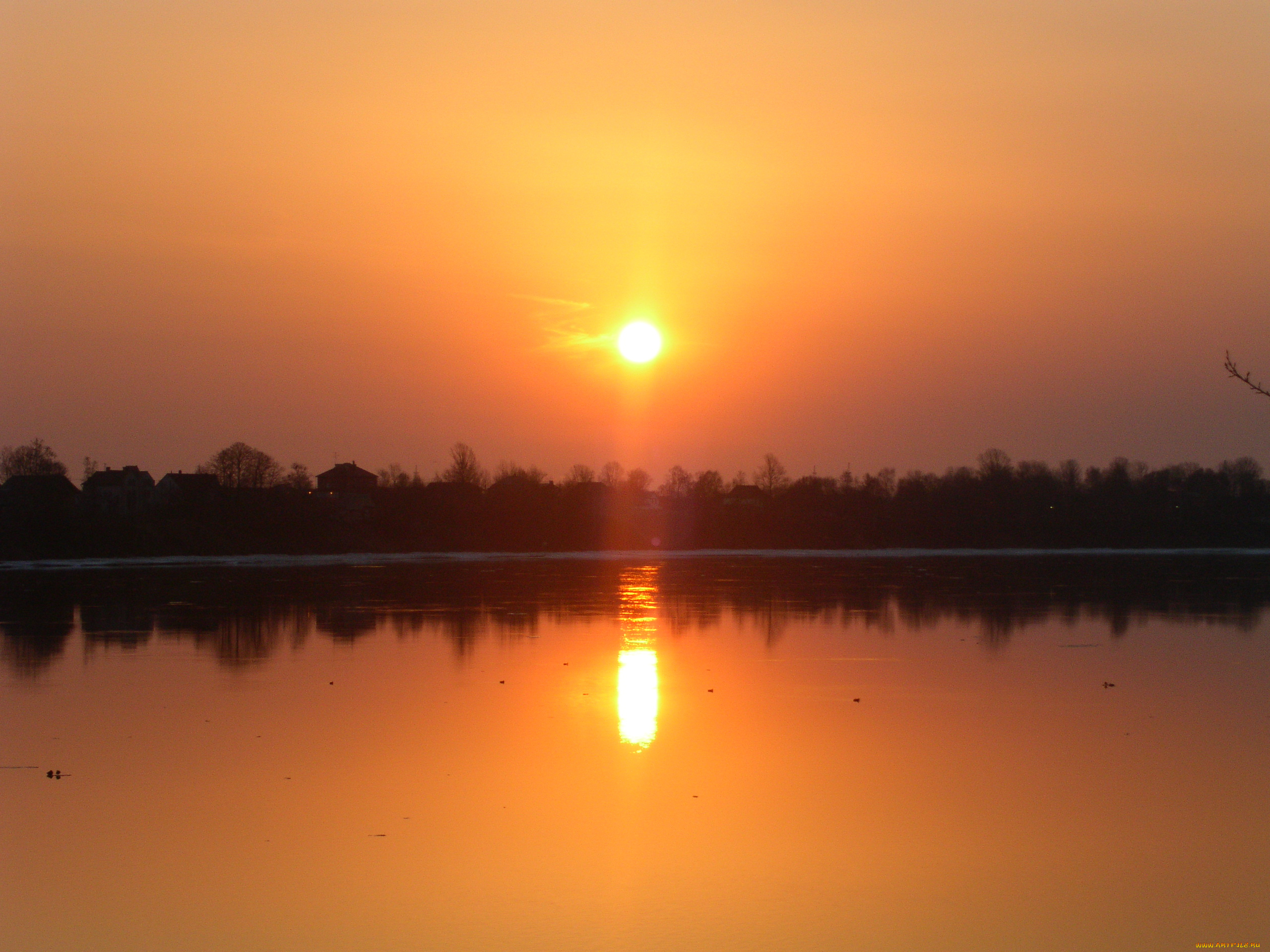 сам, фоткал, природа