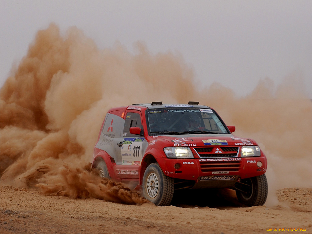 спорт, авторалли