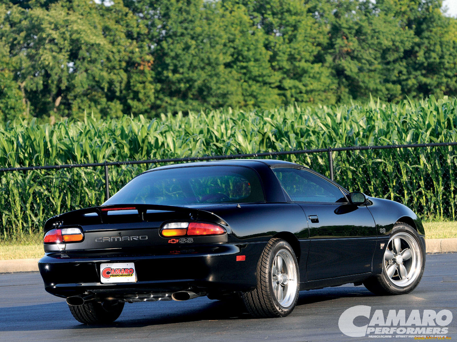 автомобили, camaro