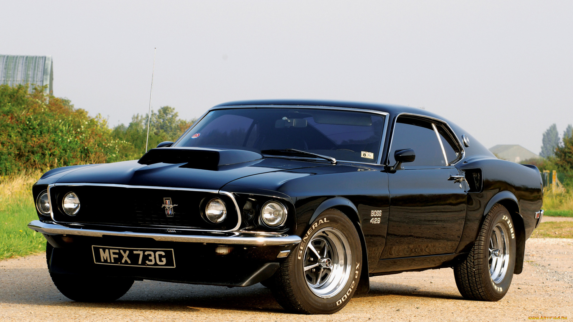 автомобили, mustang