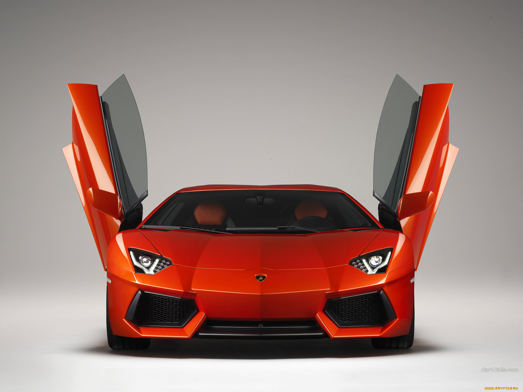 aventador, автомобили, lamborghini