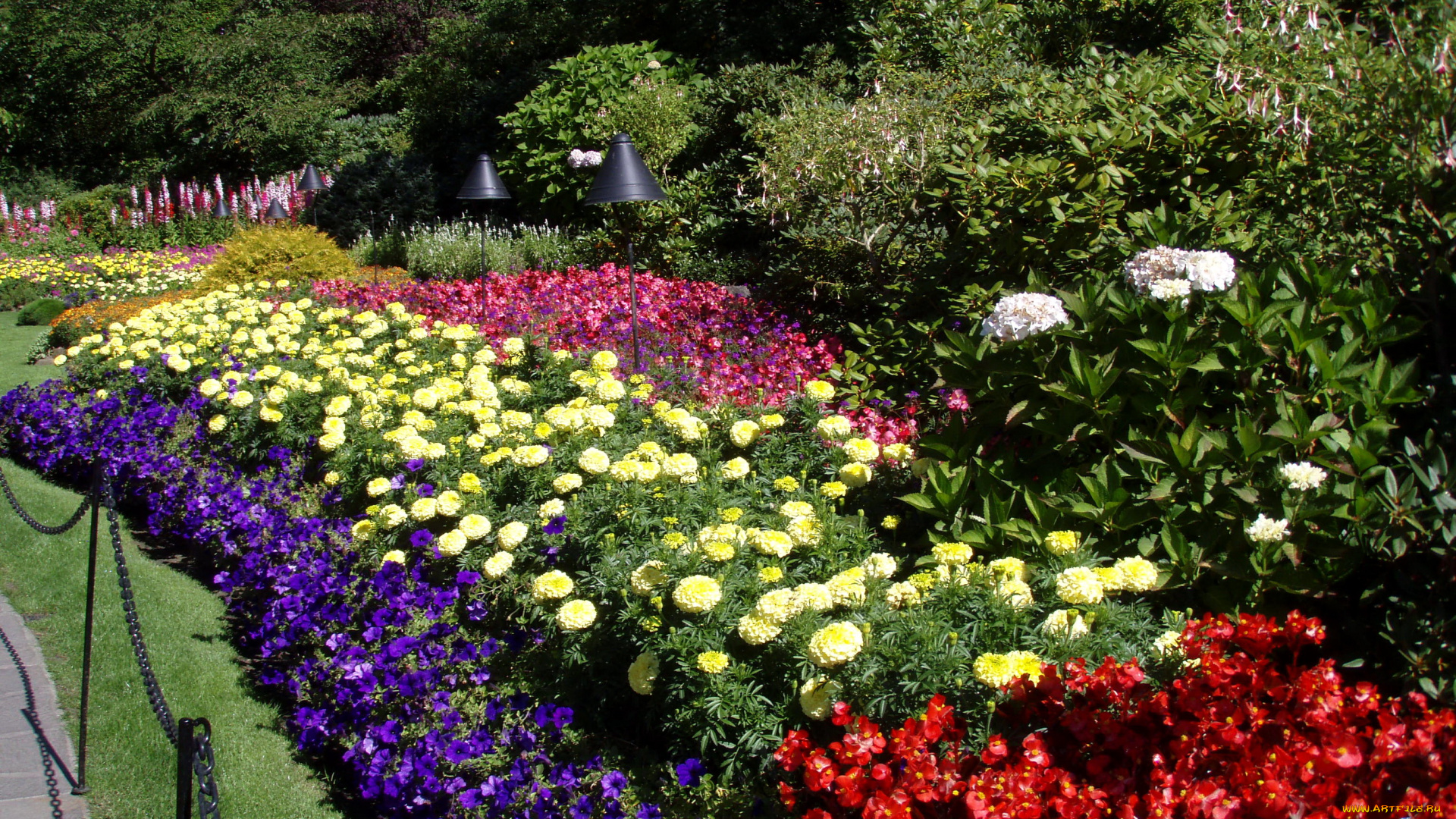 цветы, разные, вместе, канада, butchart, victoria