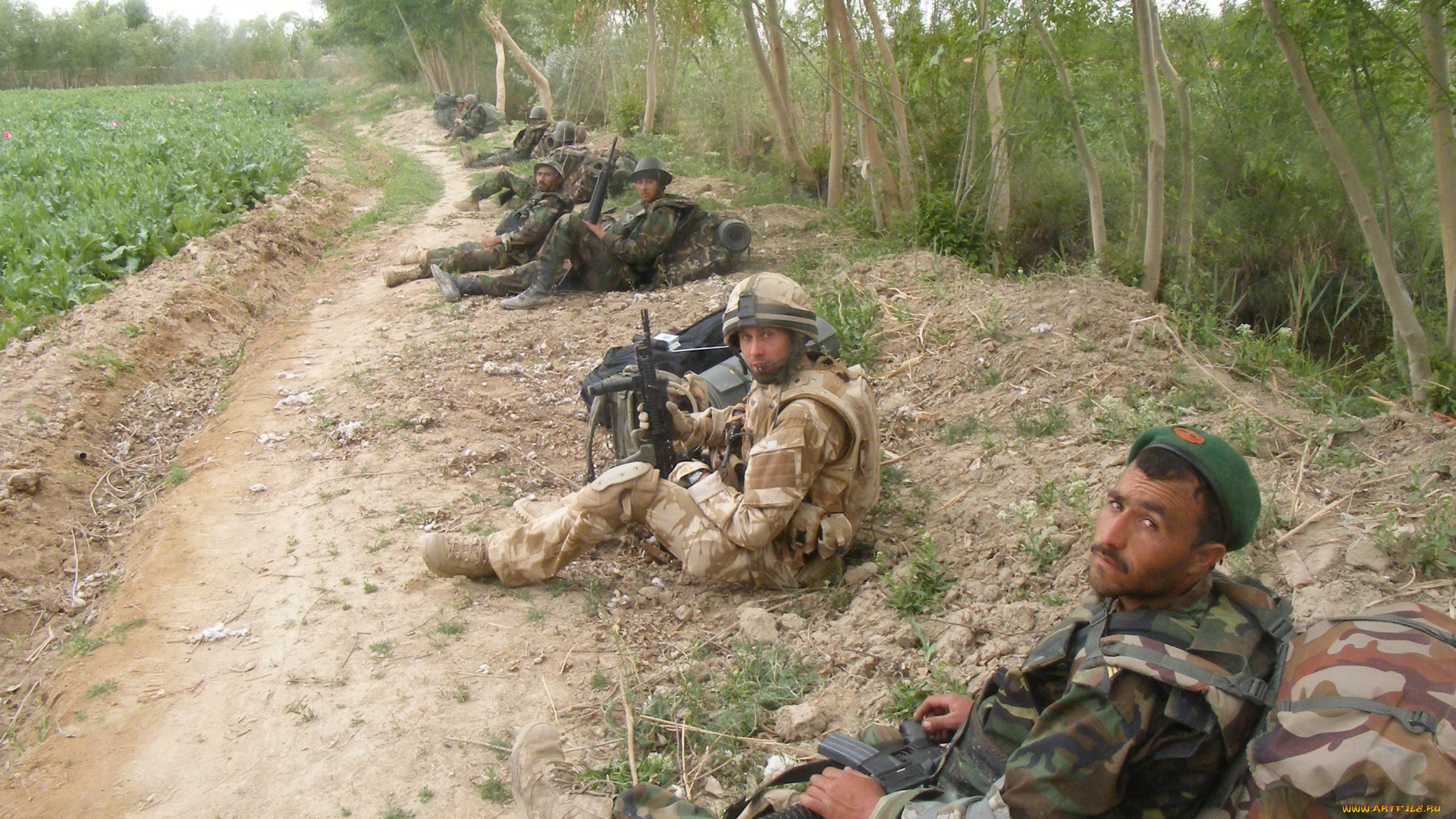 оружие, армия, спецназ, army, military