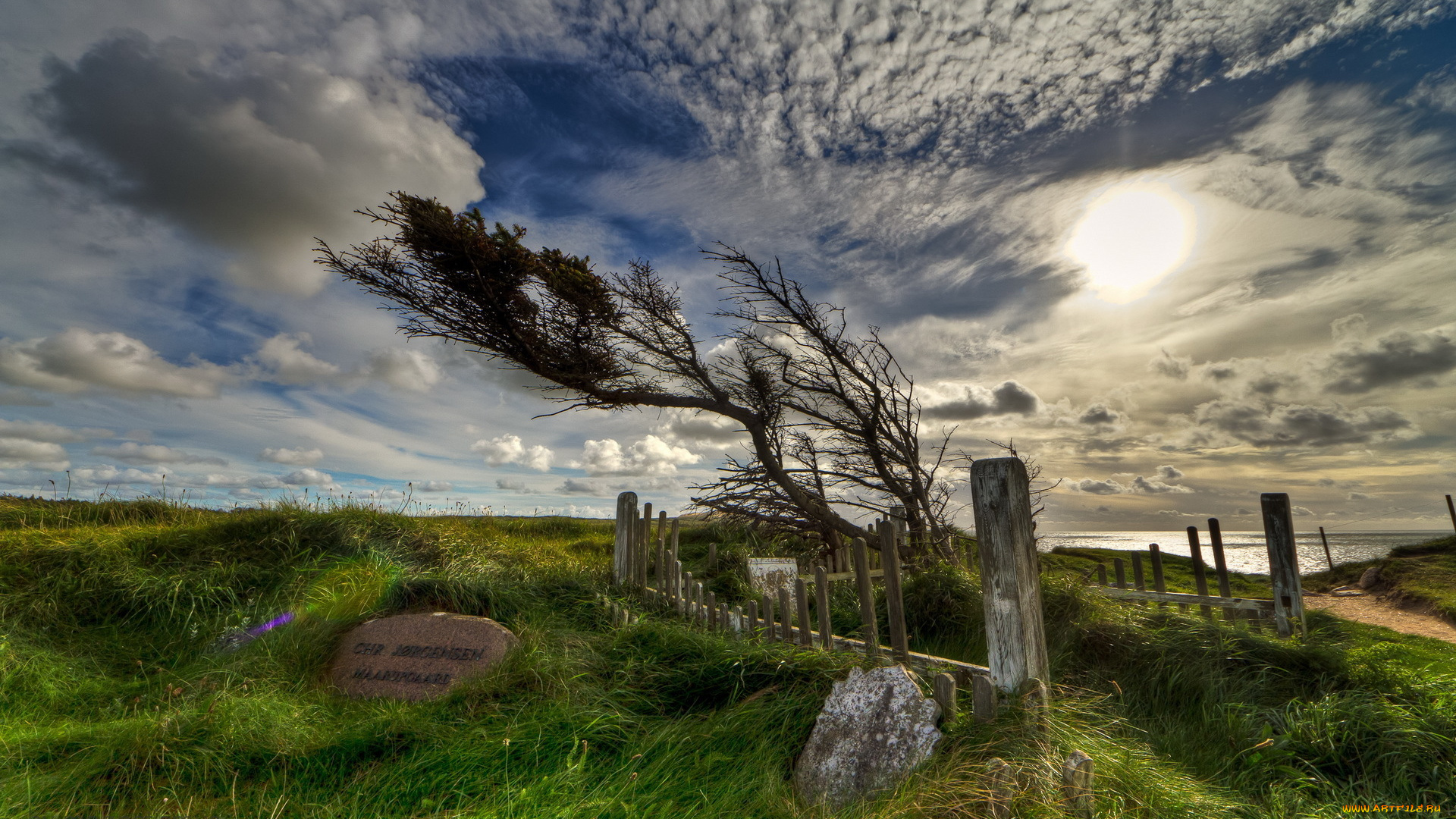 природа, деревья, небо, дерево, памятник