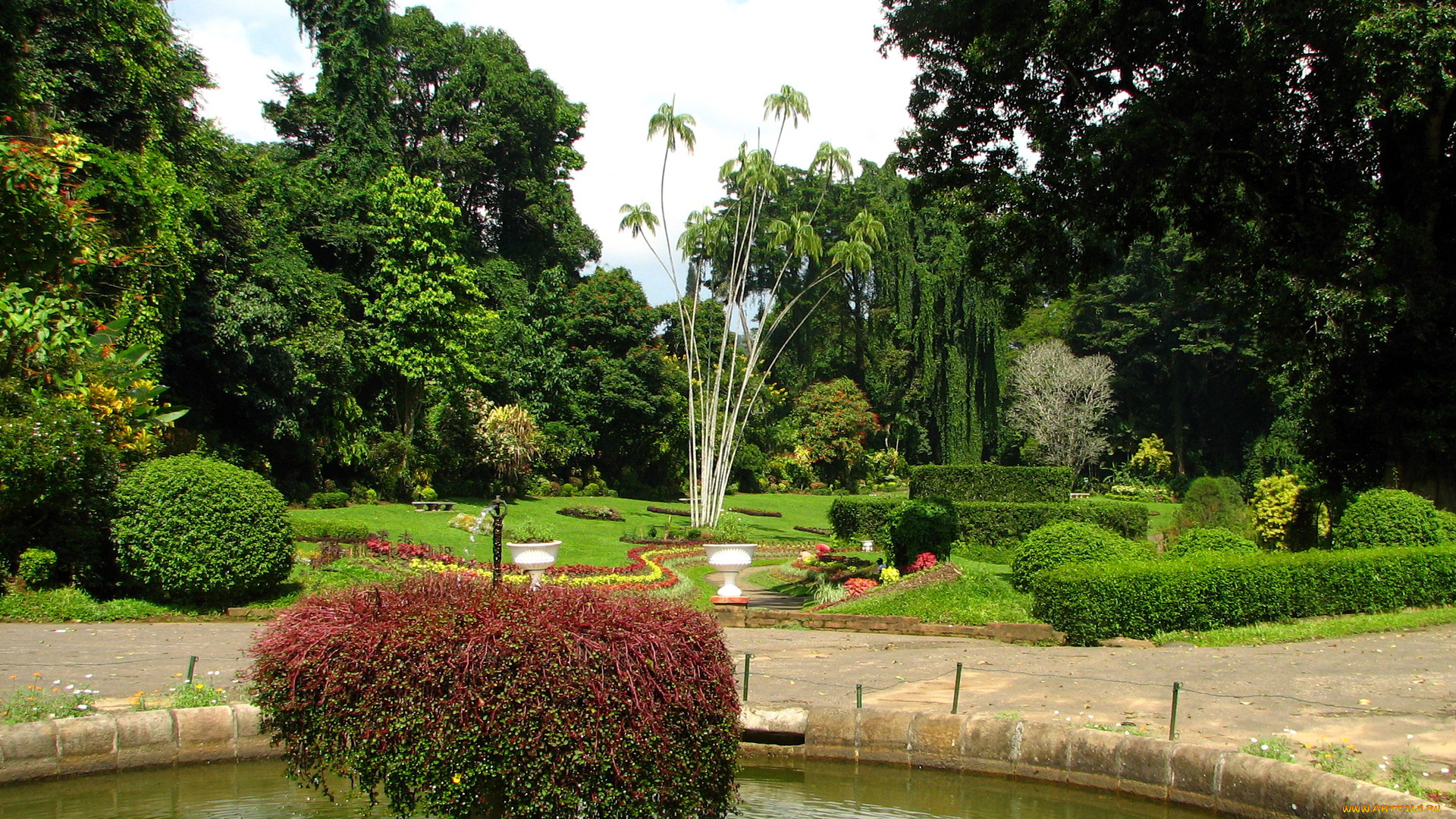 природа, парк, kandy, botanical, garden, sri, lanka