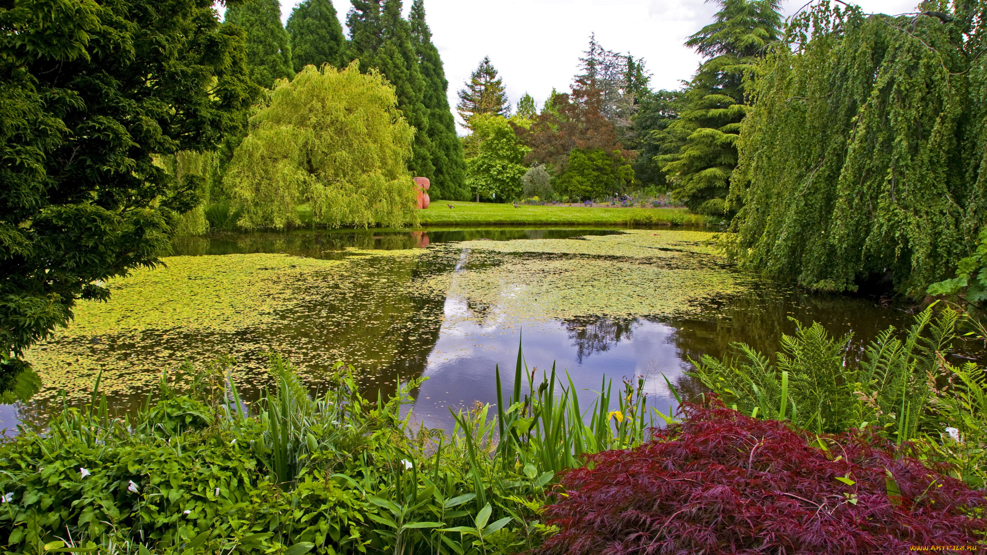 природа, парк, vandusen, botanical, vancouver, канада