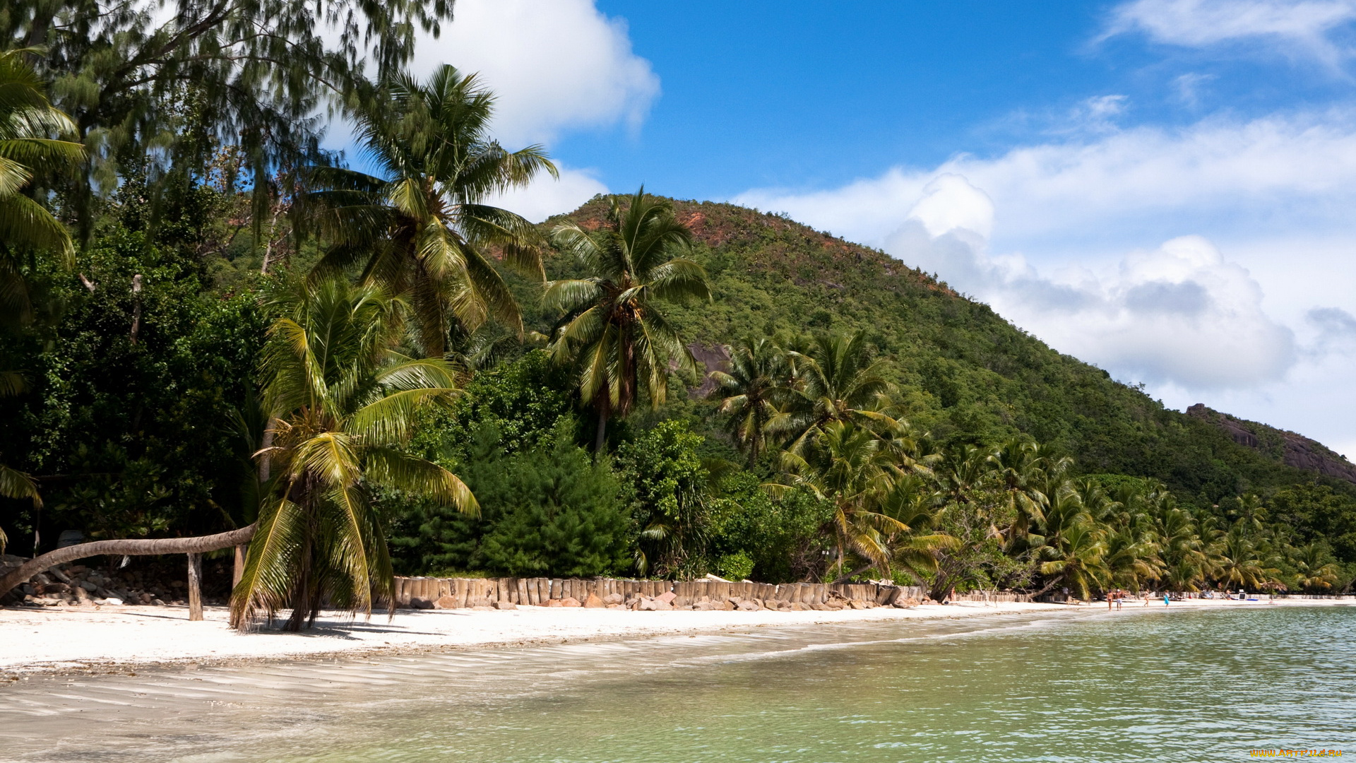 природа, тропики, сейшельские, острова, о, праслин