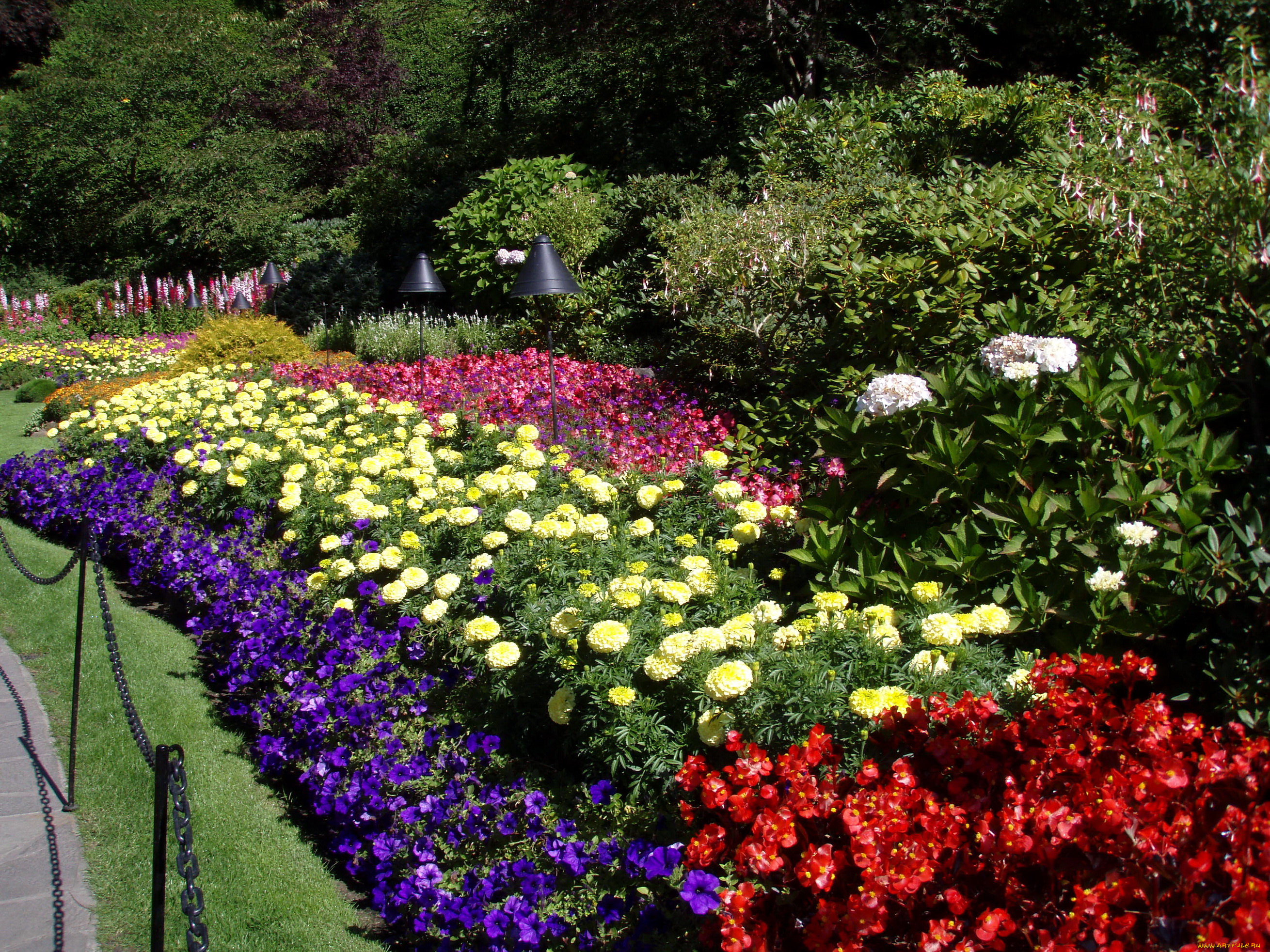 цветы, разные, вместе, канада, butchart, victoria