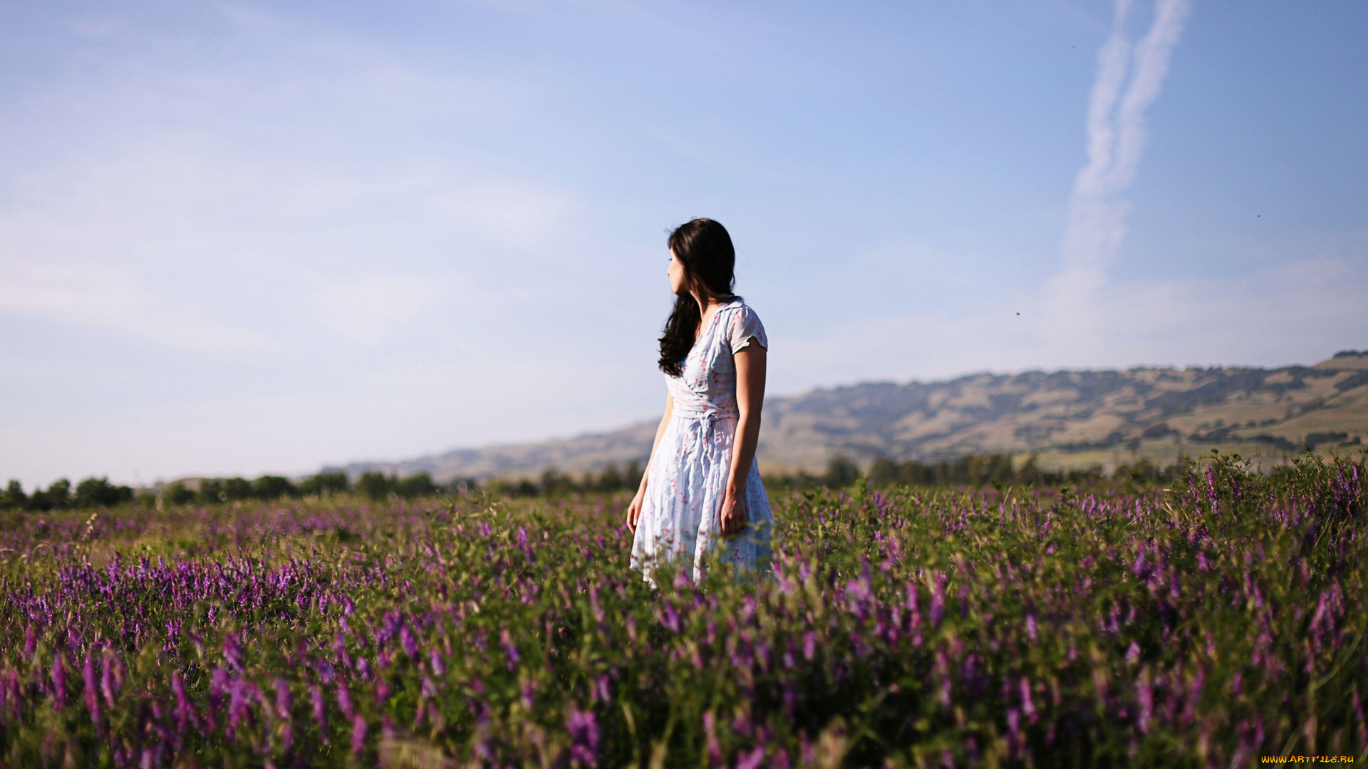 -Unsort, Брюнетки, Шатенки, девушки, unsort, брюнетки, шатенки, луг