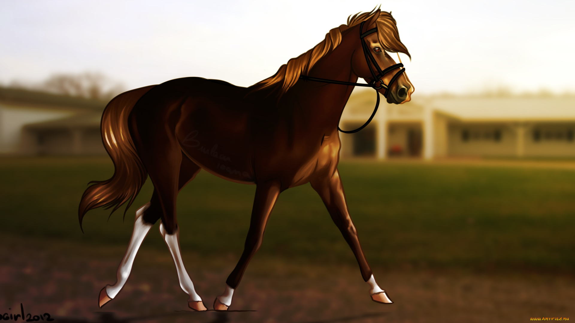 рисованные, животные, лошади, лошадь