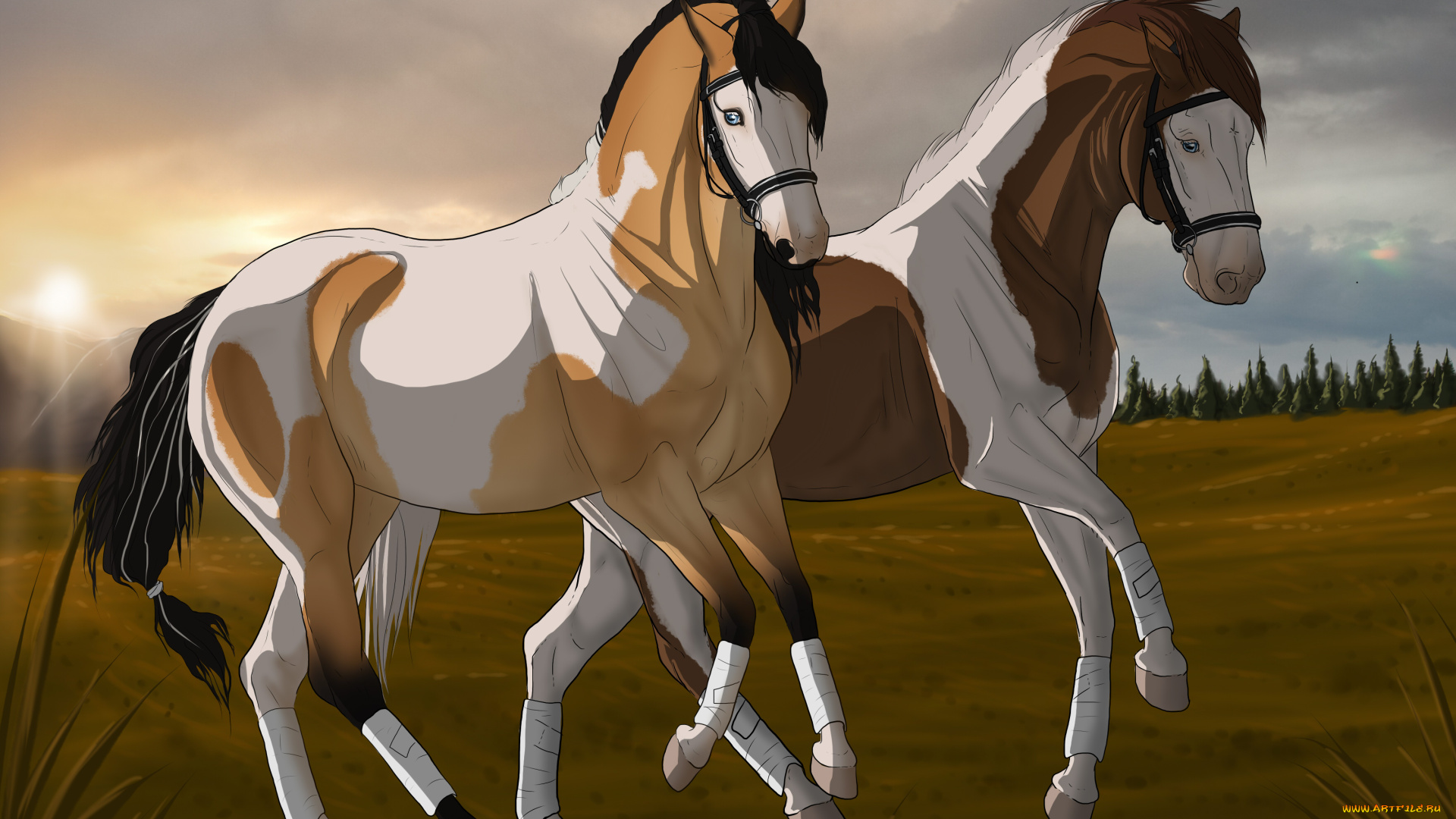 рисованные, животные, лошади, лошадь
