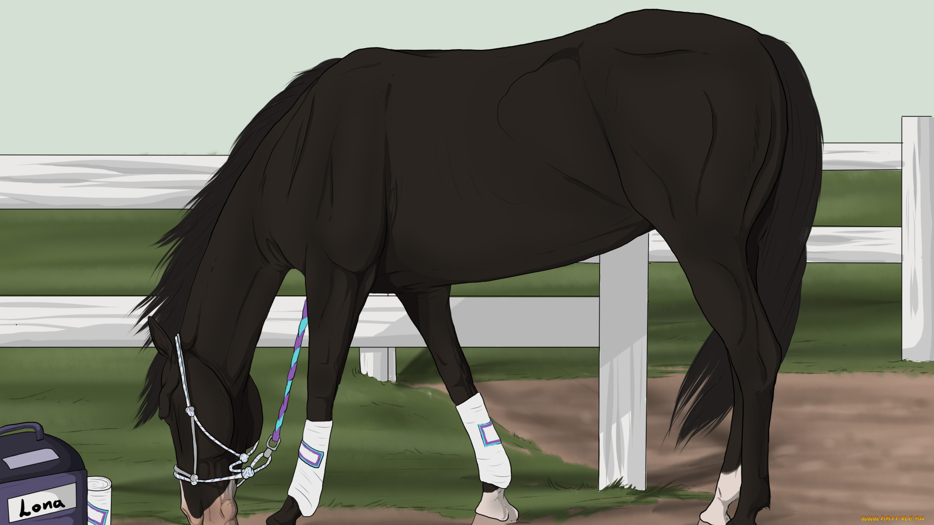 рисованные, животные, лошади, лошадь