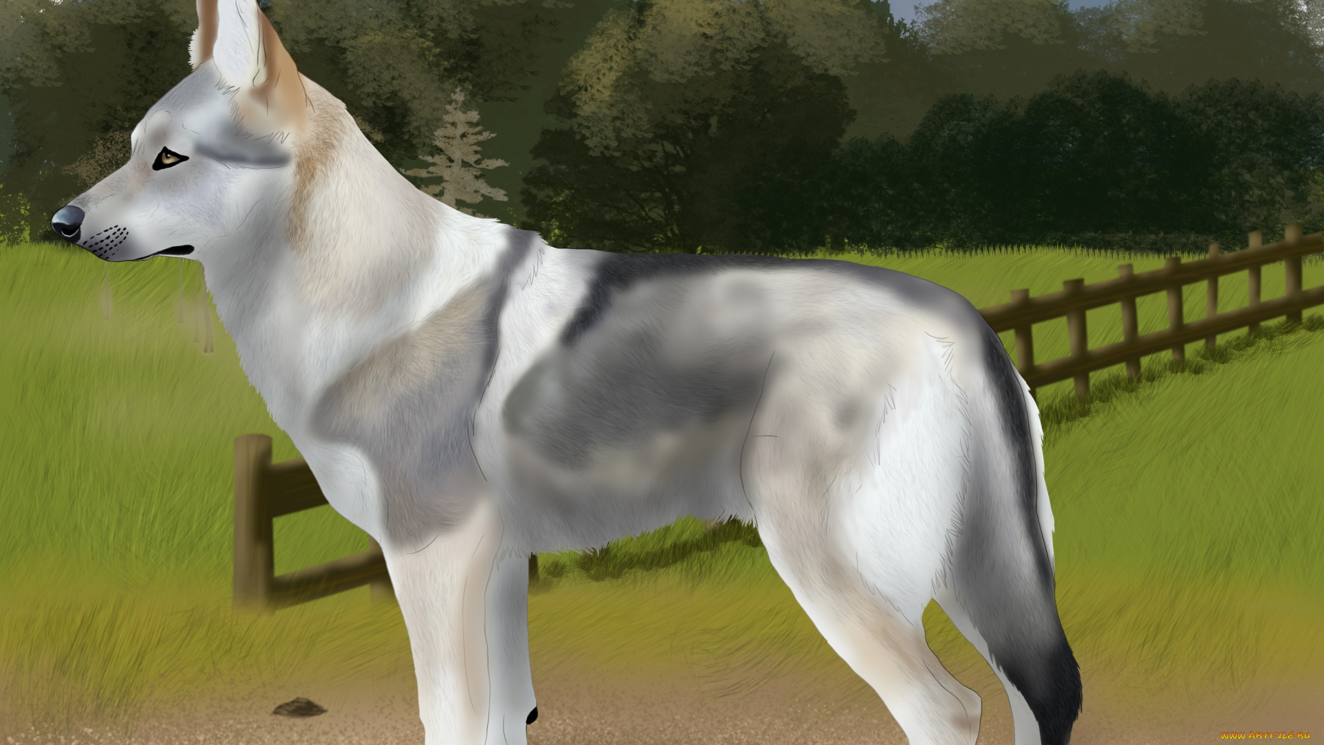 рисованные, животные, собаки, собака