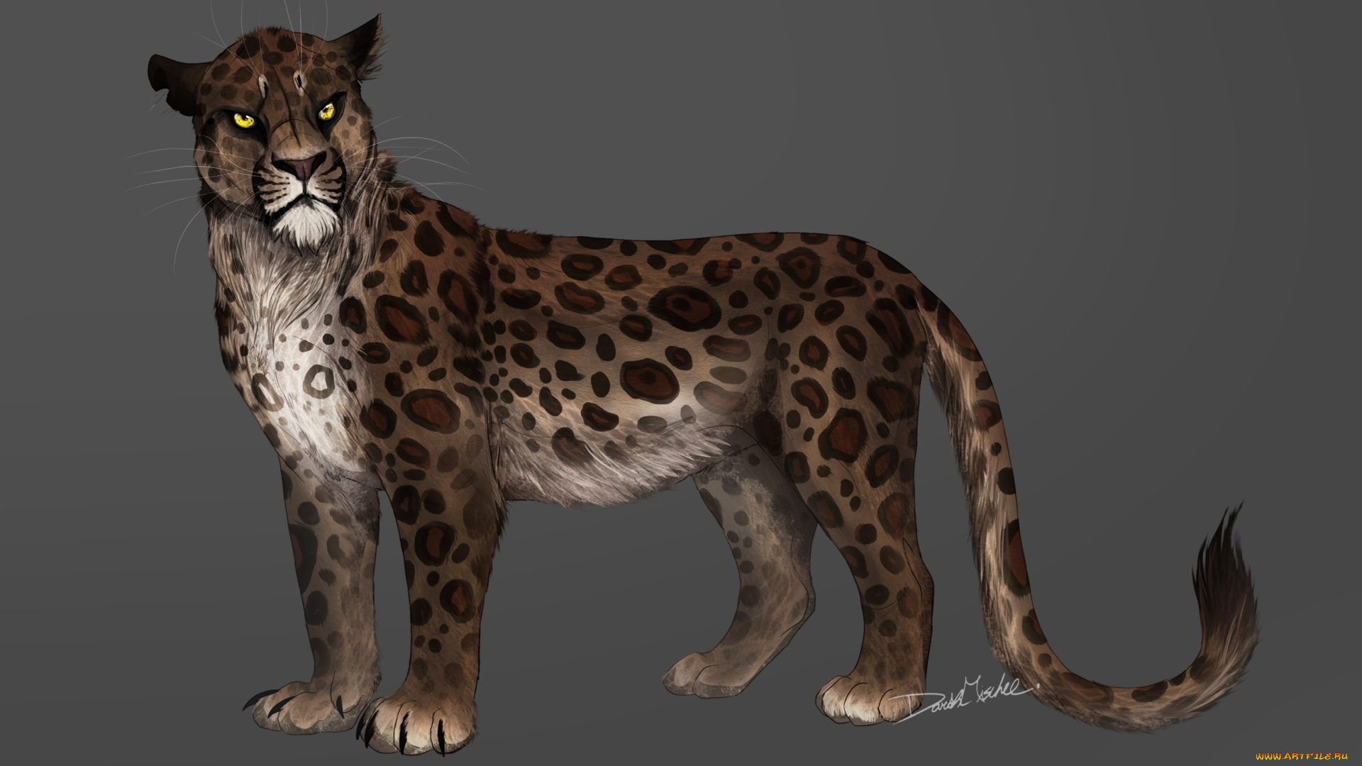 рисованные, животные, тигры, тигр